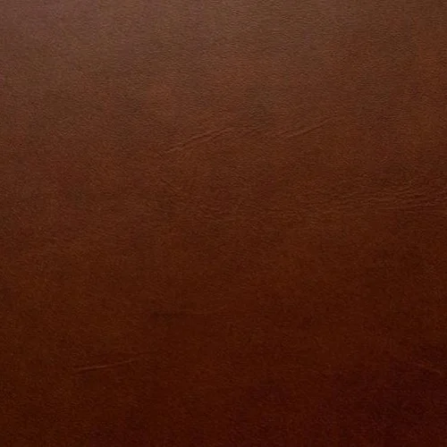 Pure Aniline Leather 