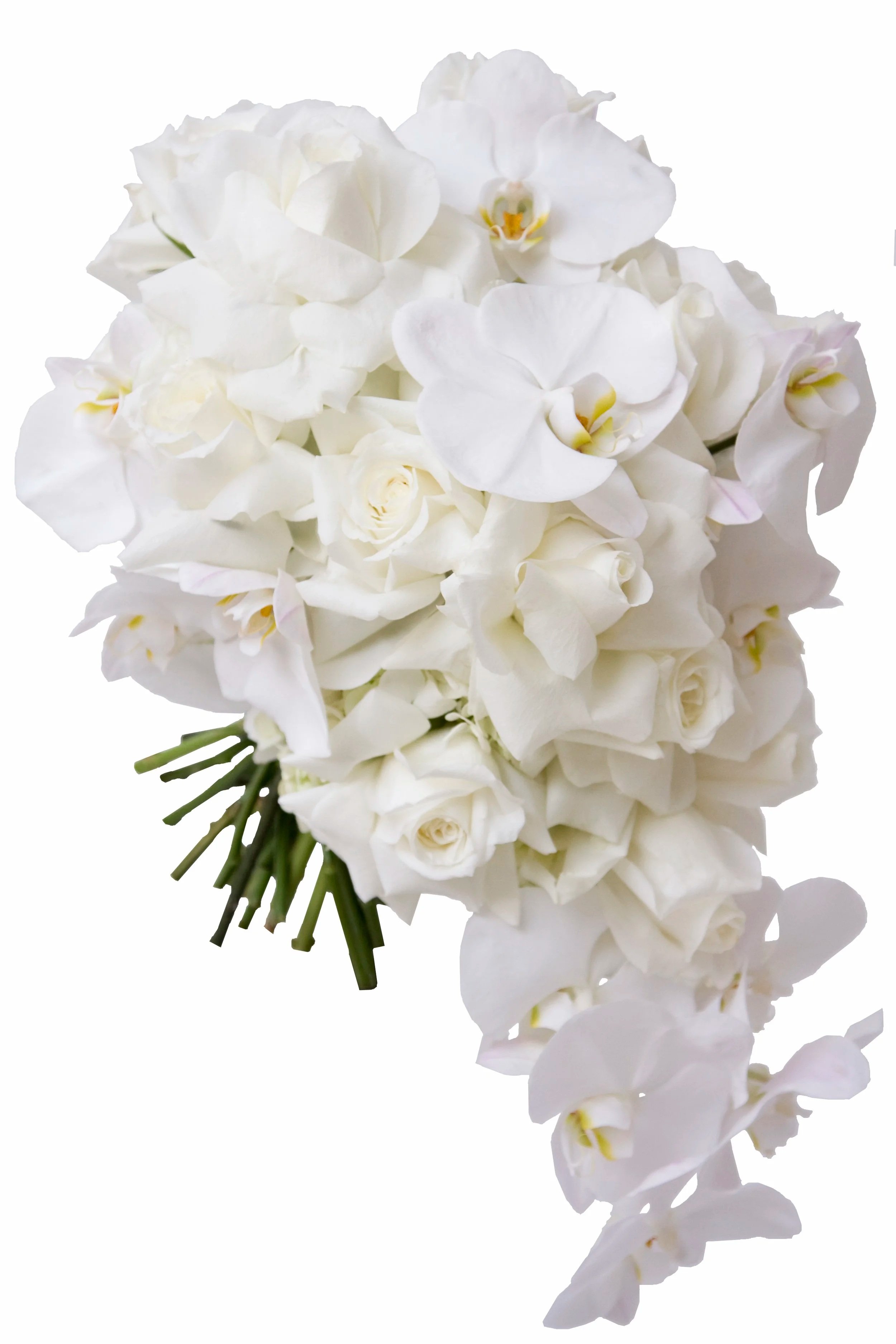 Natural Hand Held Wedding Bouquet Featuring Reflexed Roses and Phalaenopsis Orchids