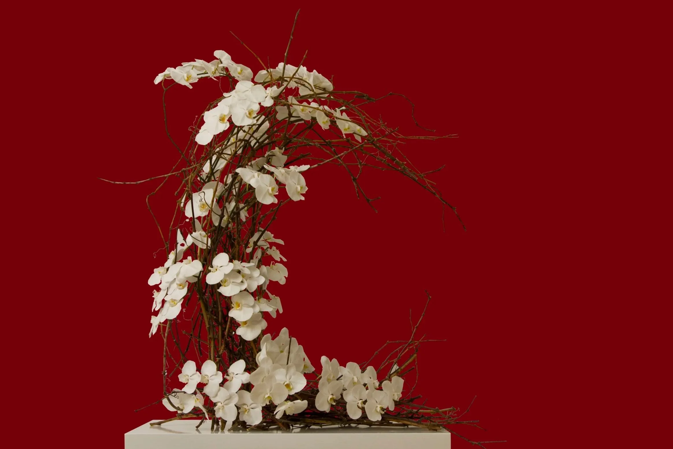 Cartier Inspired Flowers