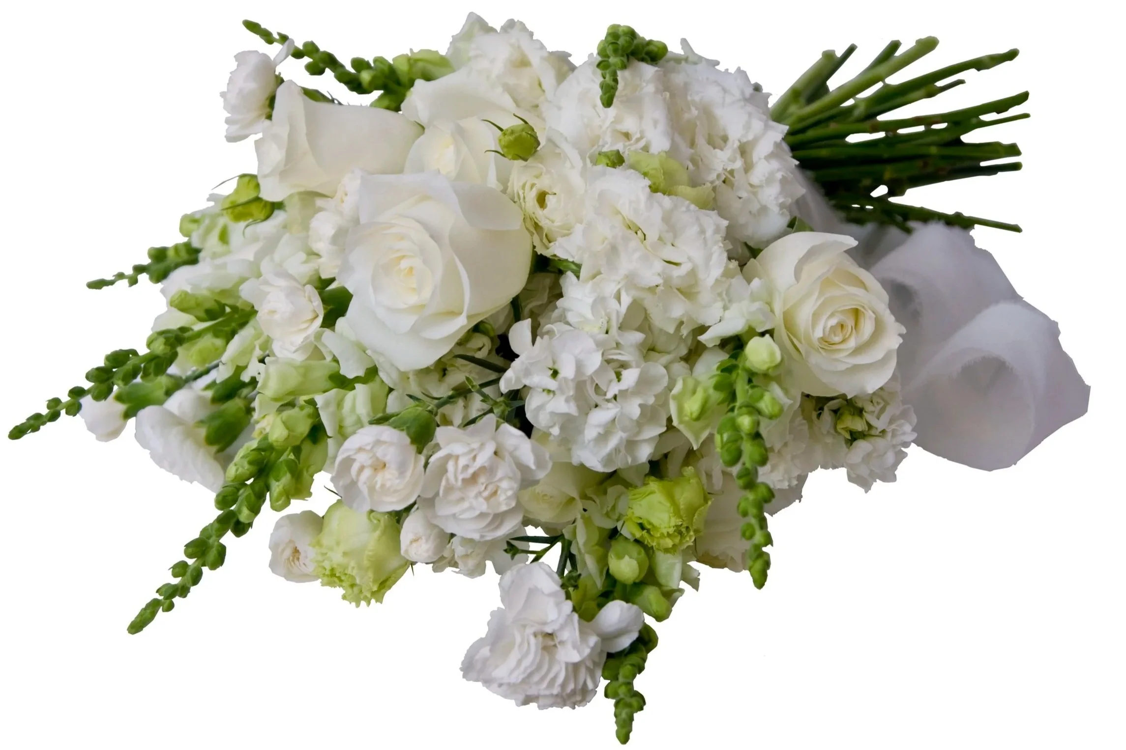 All White Seasonal Wedding Bouquet. Hand held posy featuring white lisianthus, white stock, white spray carnations, white snapdragons, white roses and chiffon ribbon.  Botanic Flowers 1300 820 920.
