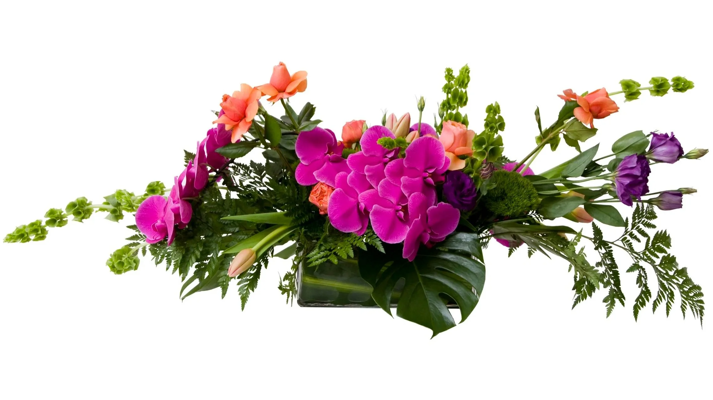 Corporate board room flowers. Long and low floral centerpieces featuring fuchsia phalaenopsis orchids, orane tulips, orange classic roses, purple lisianthus and bells of ireland. Botanic Flowers 1300 820 920. 