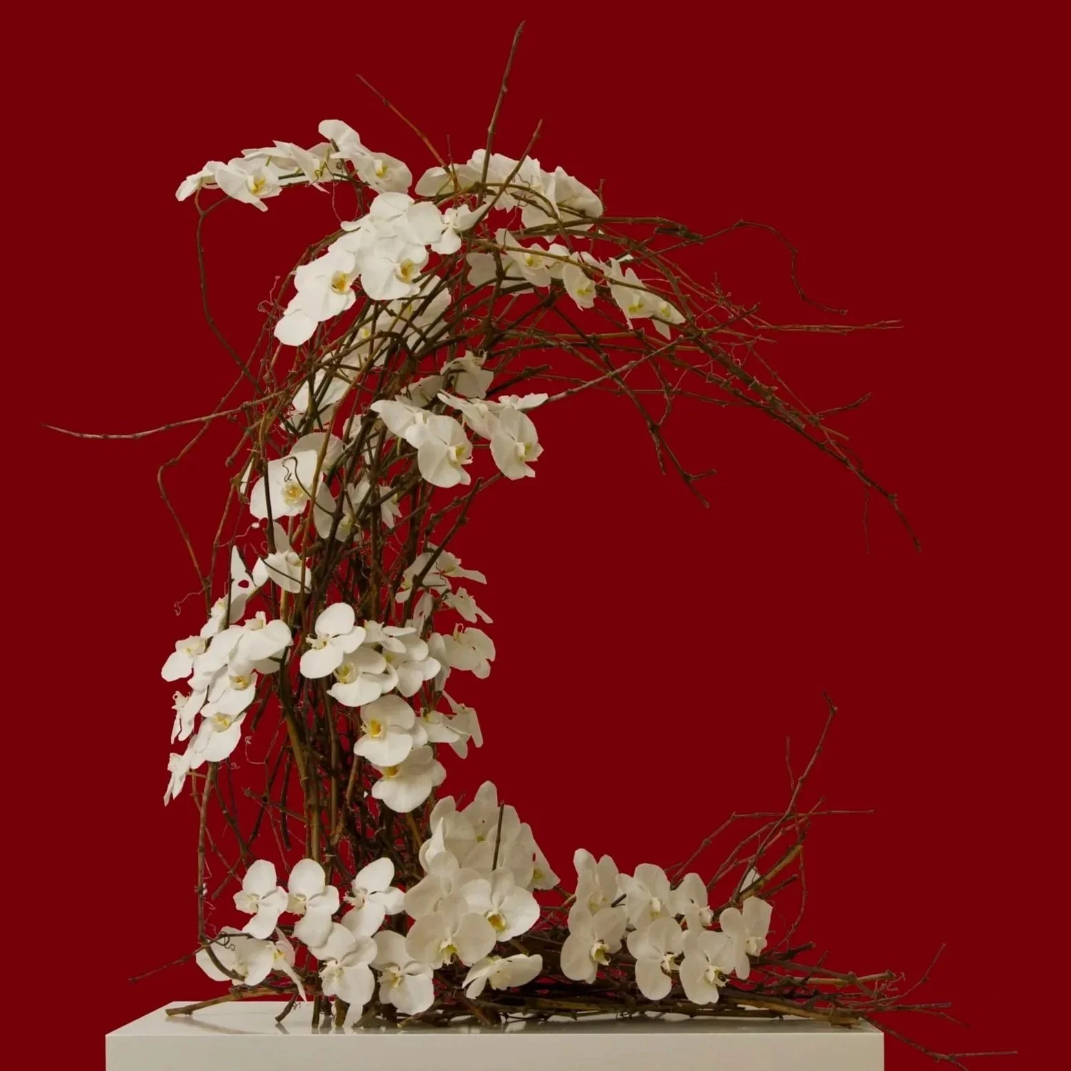 C for Cartier. Hand made twig structure in the shape of a C to compliment white phalaenopsis orchids. Botanic Flowers 1300 820 920.