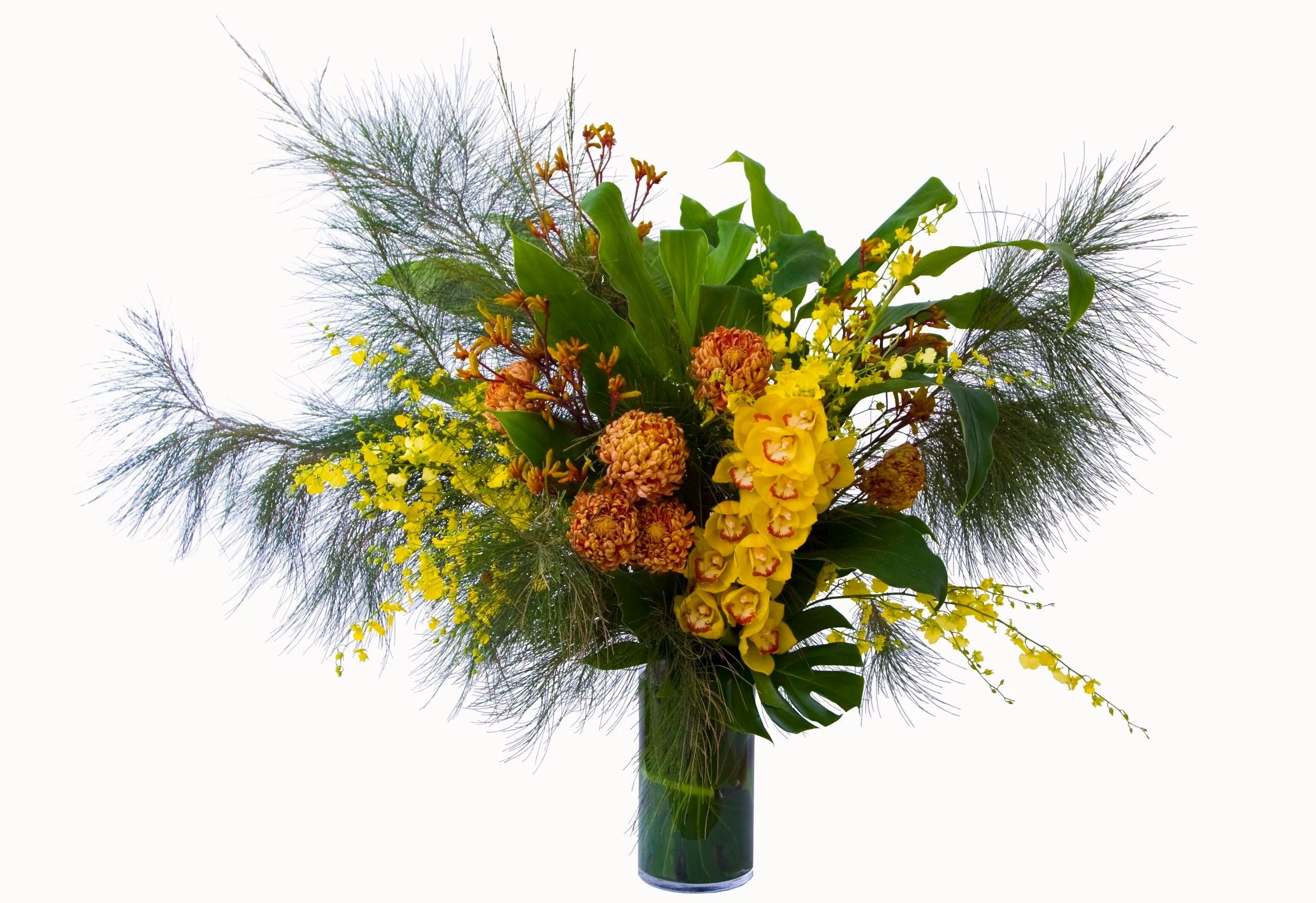 A strong grouped floral arrangement featuring yellow cymbidium orchid, mustard disbuds, yellow dancing lady orchids, yellow kangaroo paw, monsteria leaves, ginger foliage and sheaoak foliage. Botanic Flowers 1300 820 920.