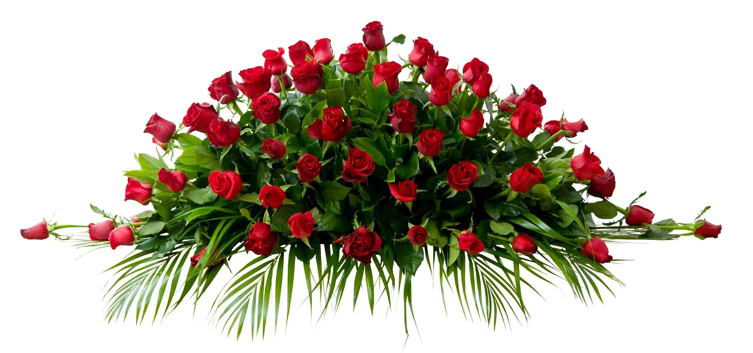 Botanic+Flowers+Melbourne+Classic+Red+Roses+Casket+1.5M.jpg