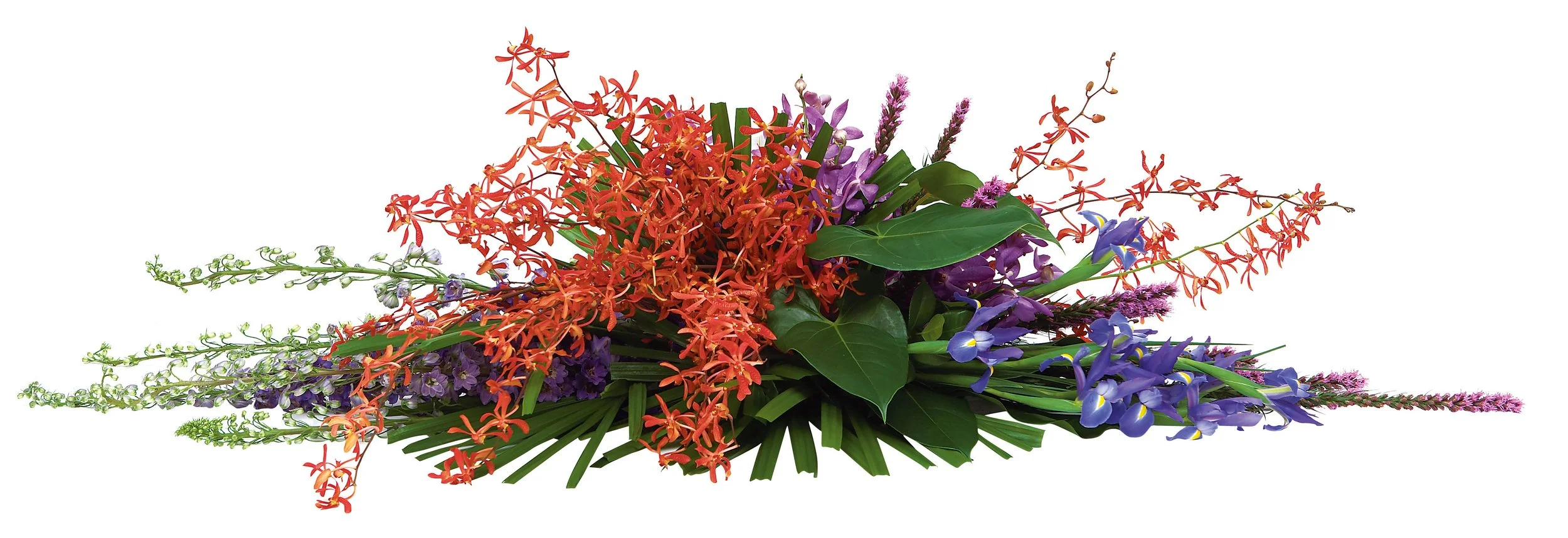 BOTANIC FLOWERS MELBOURNE MODERN 02.jpg