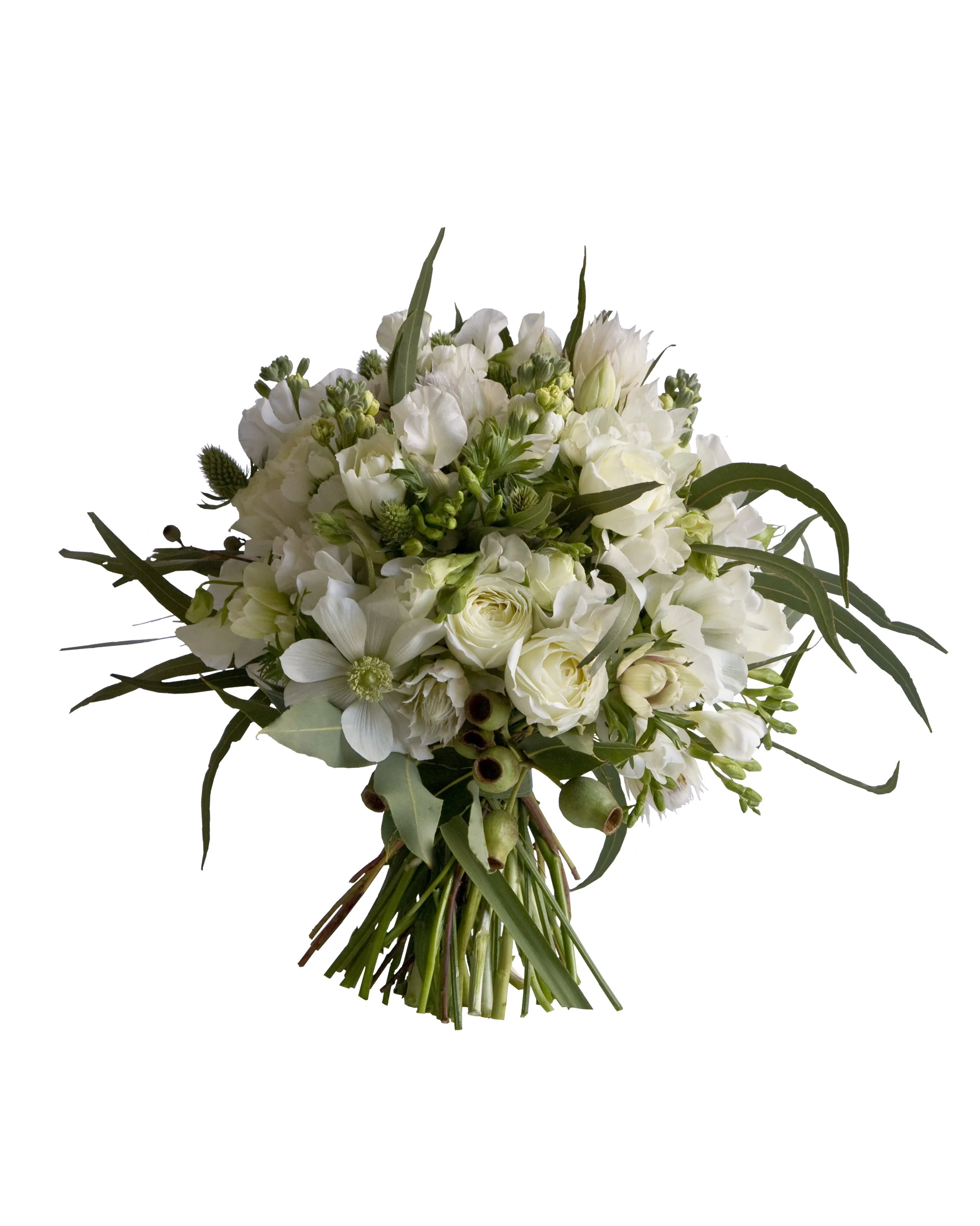 Mixed seasonal bridal posy featuring freesia, spray roses, anemone, blushing bride and gum nuts. Botanic Flowers Melbourne