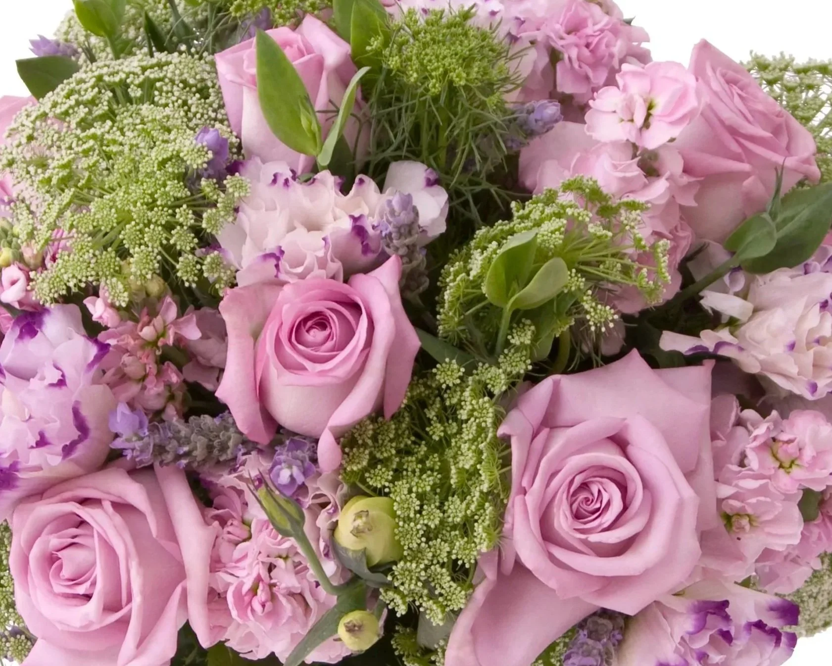 Lilac coloured blooms, Botanic Flowers Melbourne 1300 820 920. Flower arrangements, Melbourne based florist. Florist near me.