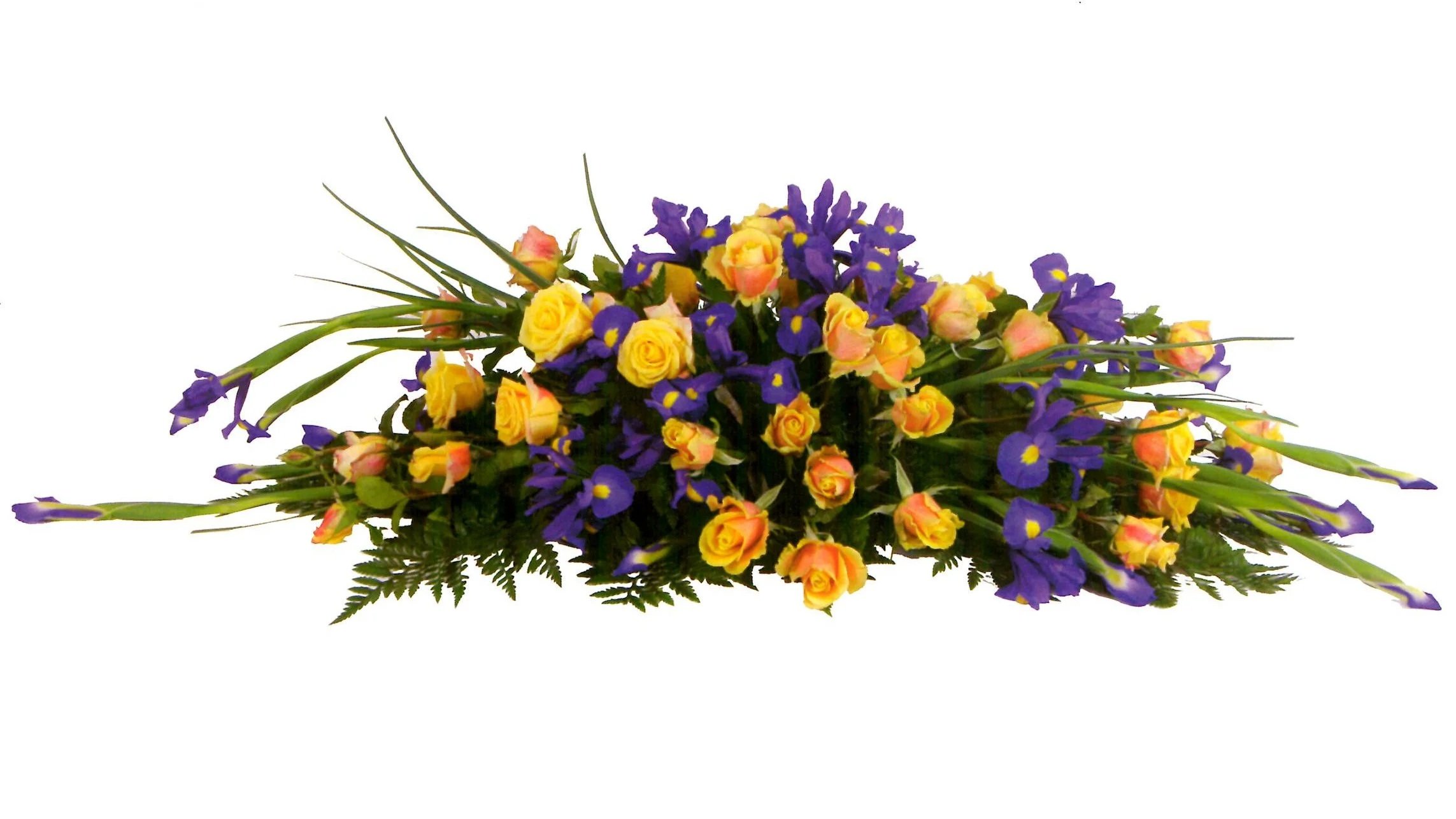BOTANIC+FLOWERS+MELBOURNE+YELLOW+ROSES+%26+BLUE+IRIS.jpg