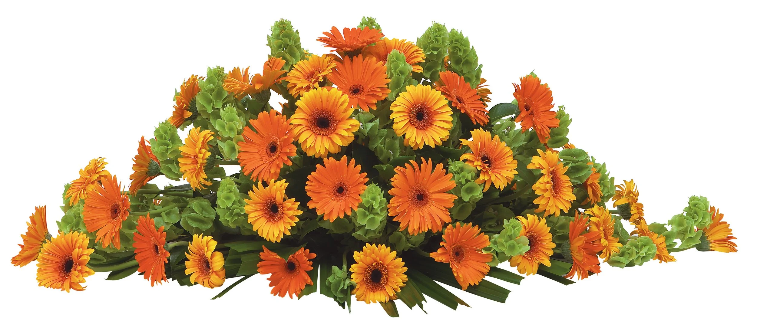 BOTANIC FLOWERS MELBOURNE GERBERA CASKET FLOWERS.jpg