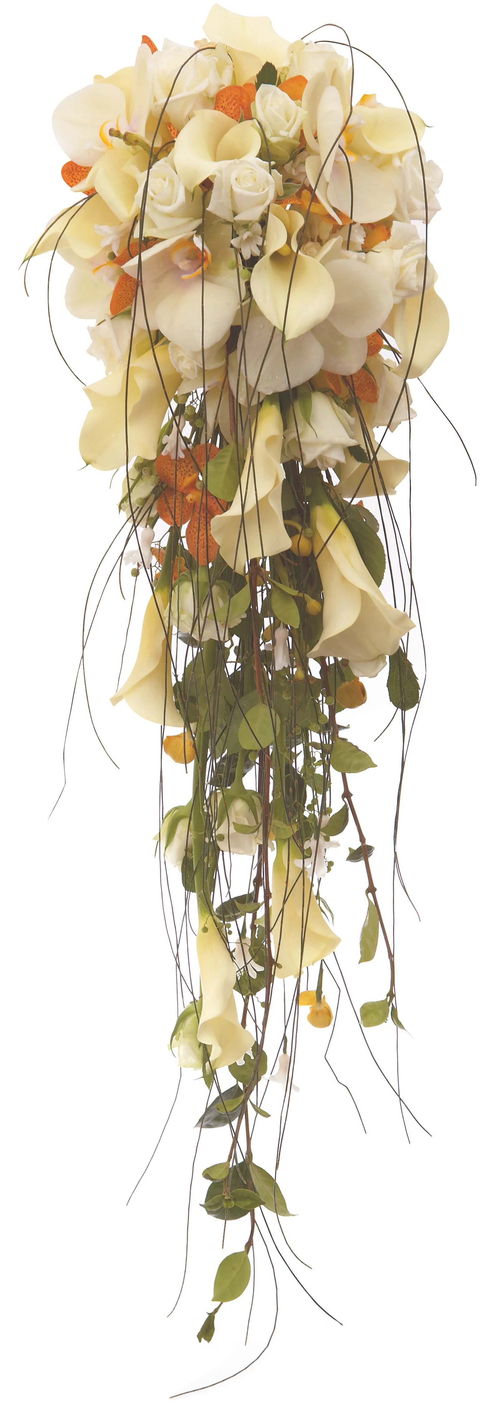 Cascading bridal bouquet featuring calla lily, phalaenopsis orchids, roses, singapore orchids, shea oak and trailing jasmine foliage. Botanic Flowers Melbourne