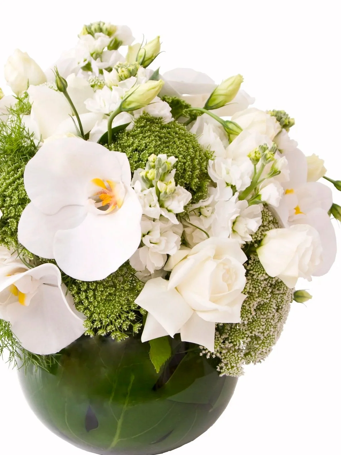 Botanic Flowers Melbourne 1300 820 920.Botanic in nature and design. Stylish embellishments for residential and corporate clients. Flowers for all occasions.