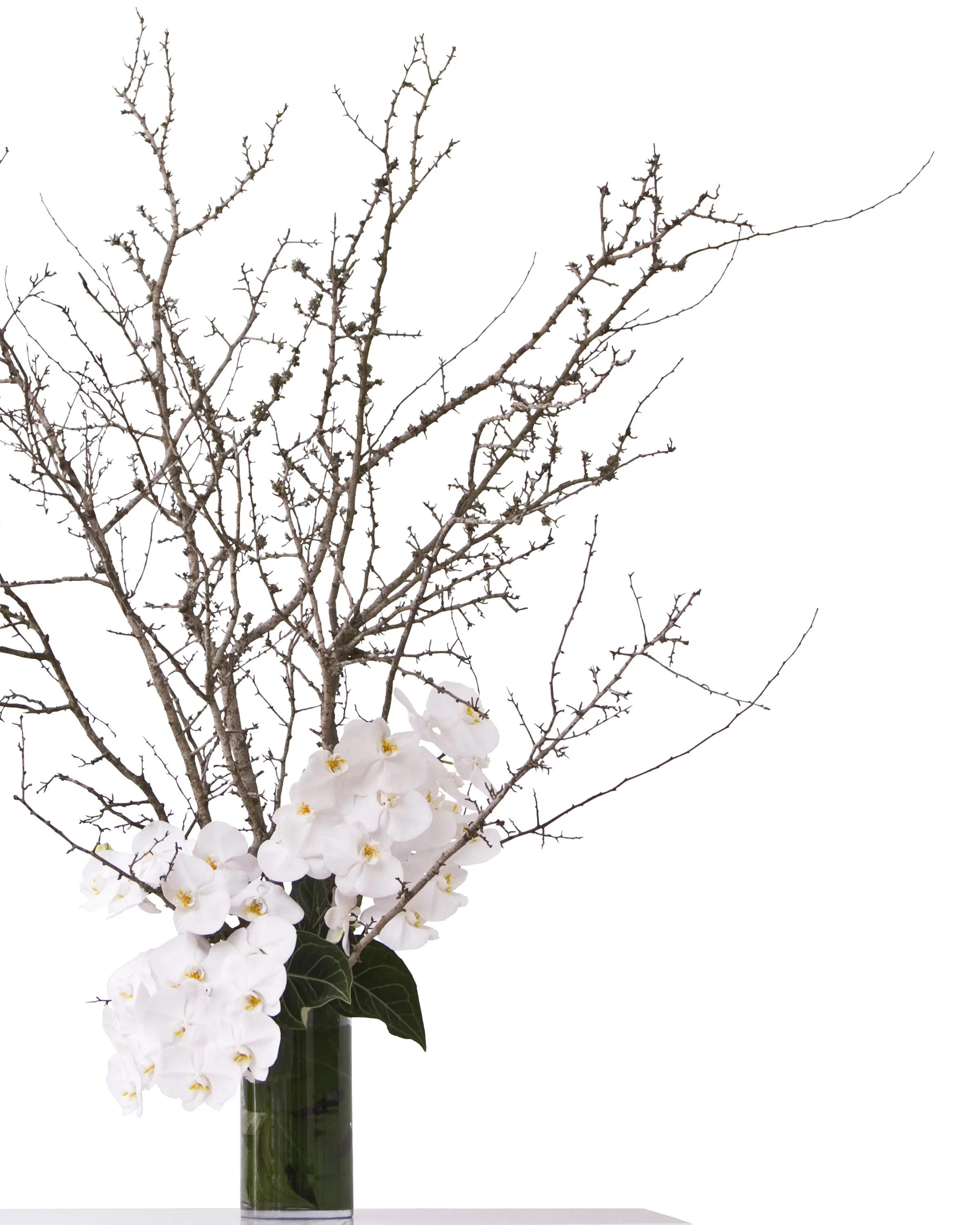 The simplicity of white phalaenopsis orchids with sticks. Botanic Flowers 1300 820 920.