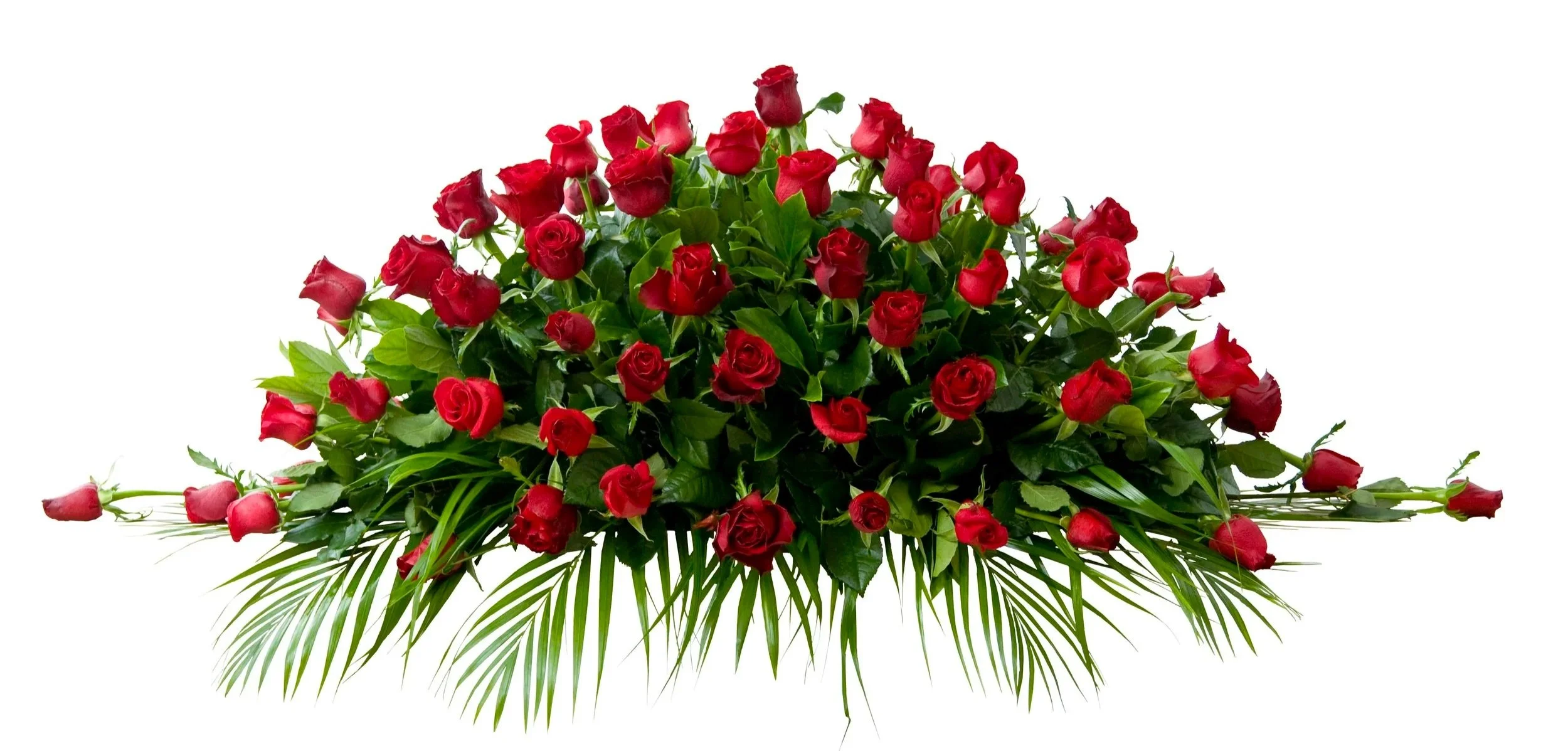 Botanic+Flowers+Melbourne+Classic+Red+Roses+Casket+1.5M.jpg