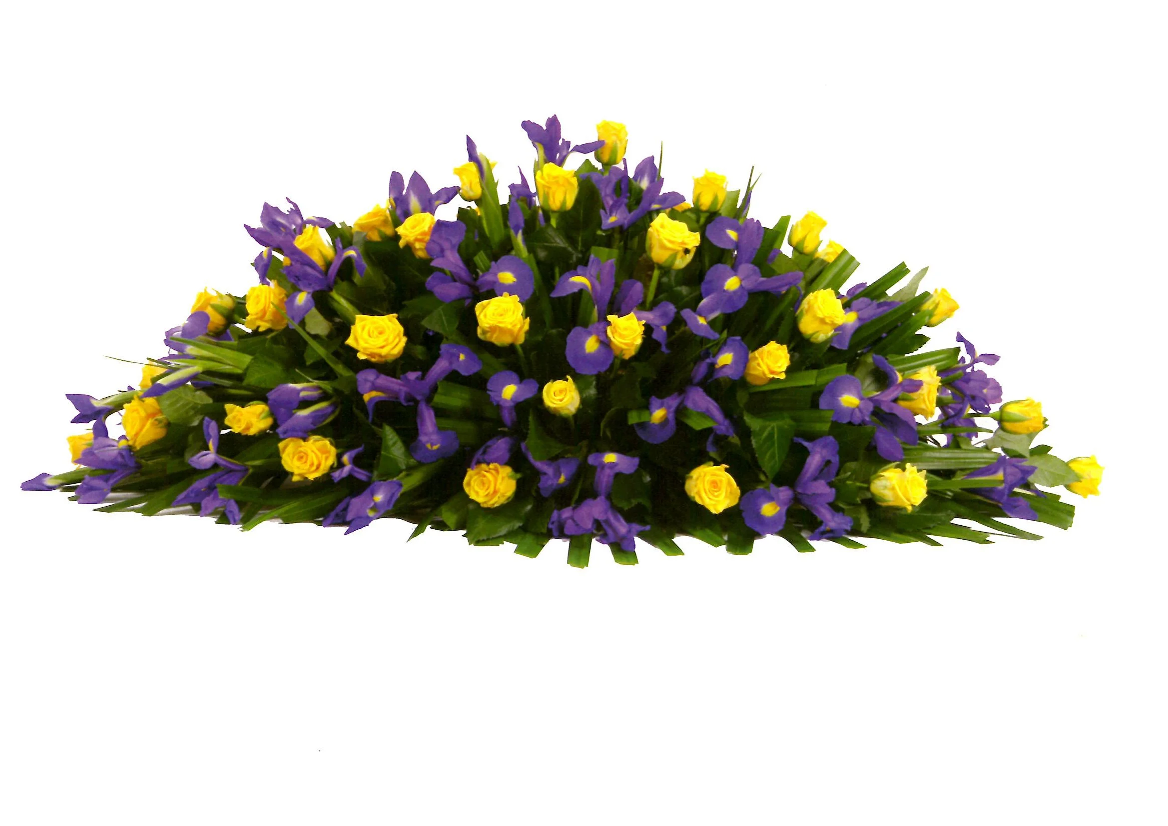 Hope - Traditional (1 Meter)