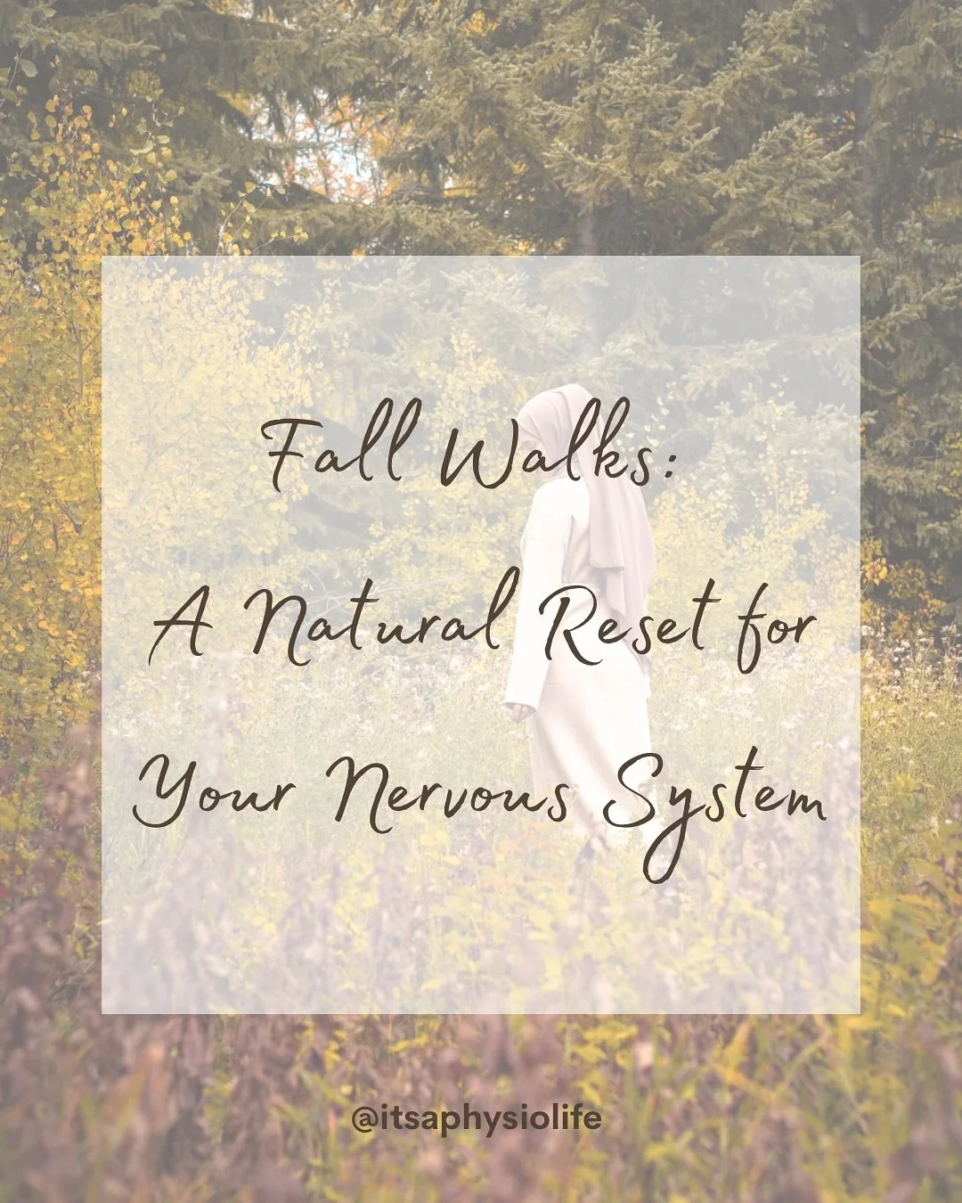 🍂 Why Fall Walks Are Medicine for Your Nervous System 🍂
As the weather cools and the leaves change, our bodies naturally crave a reset. One of the simplest ways to support your health this season is to step outside.
🌿 Just 20 minutes outdoors ca