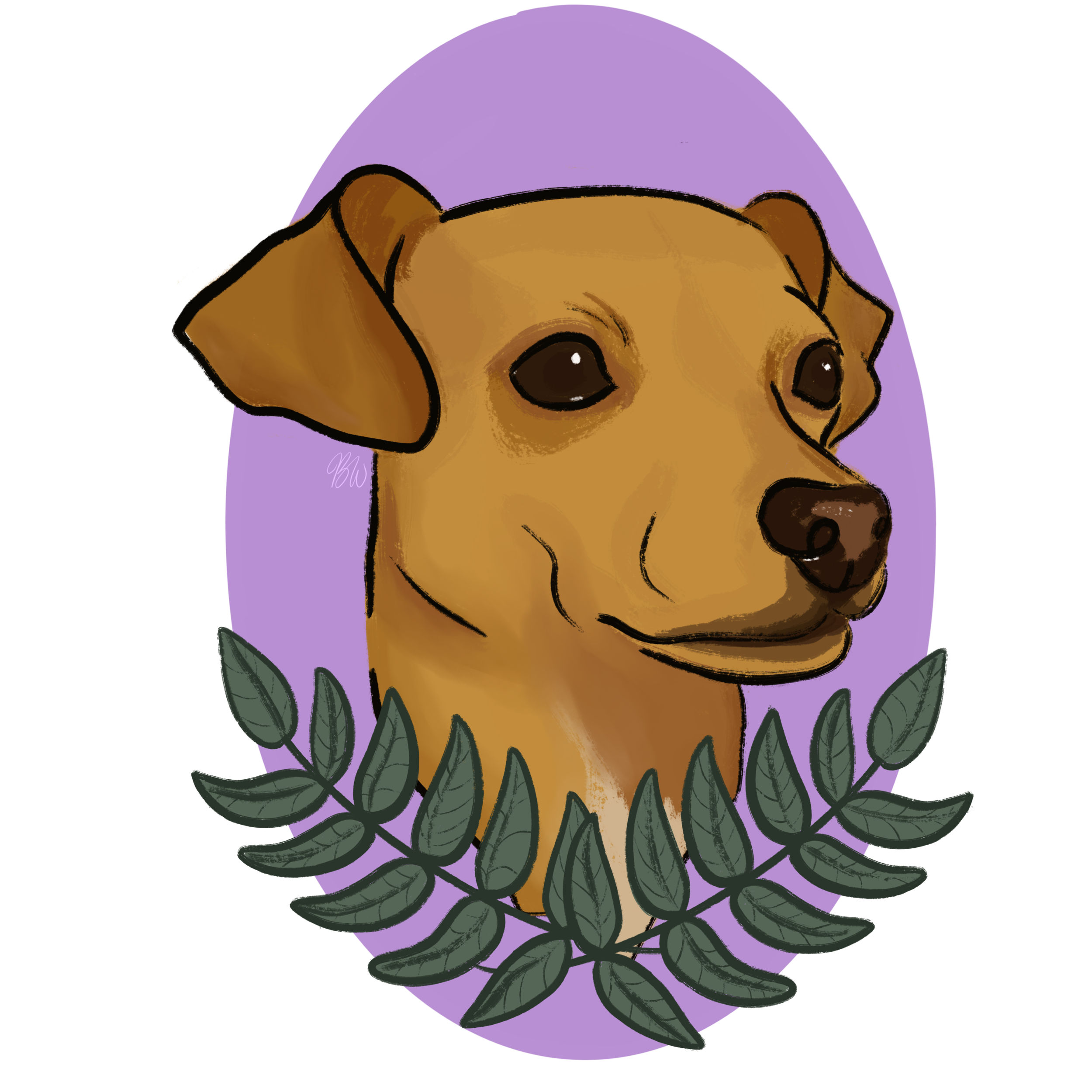 Untitled_Artwork 5.png