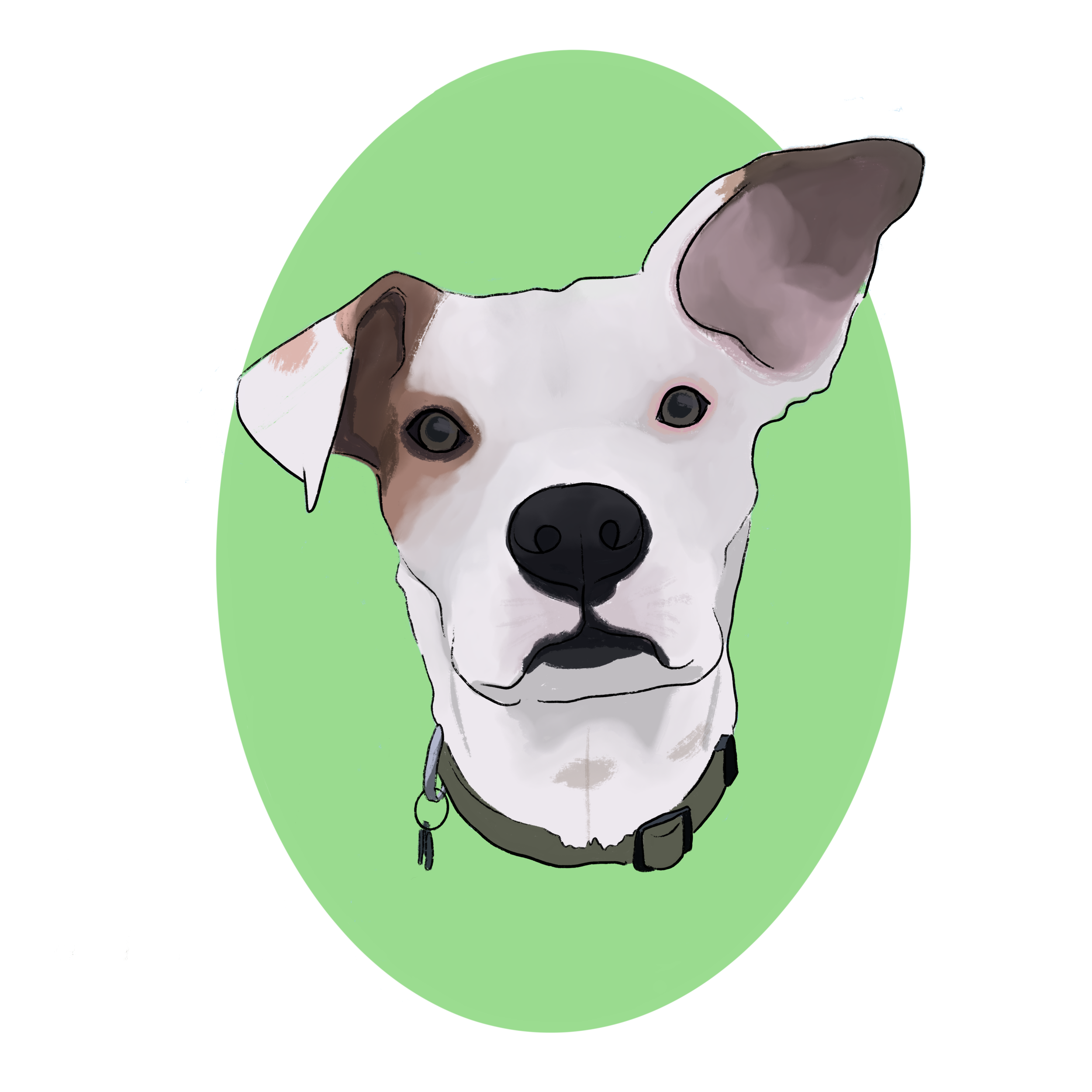 Untitled_Artwork.png