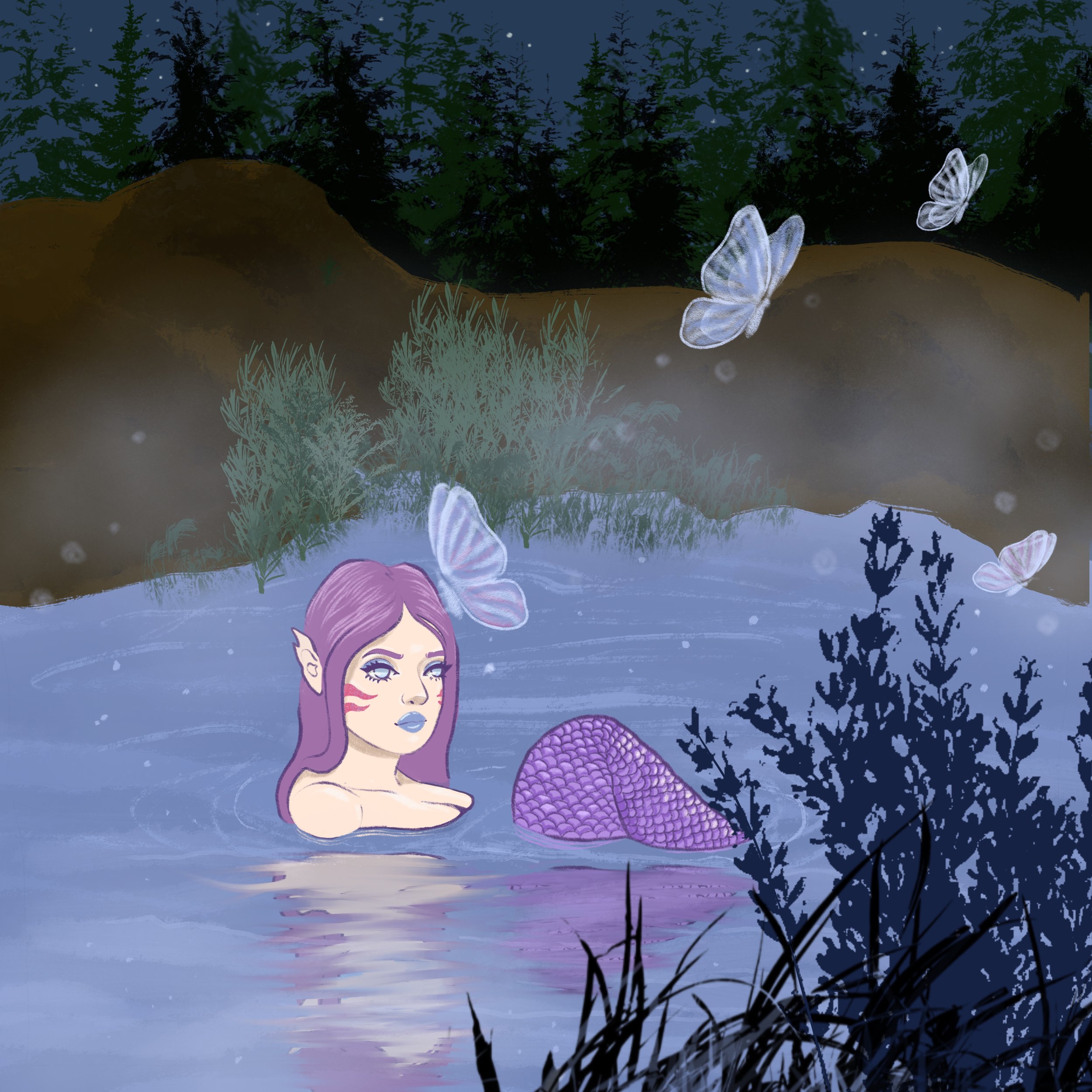 Butterfly_Bay.jpg