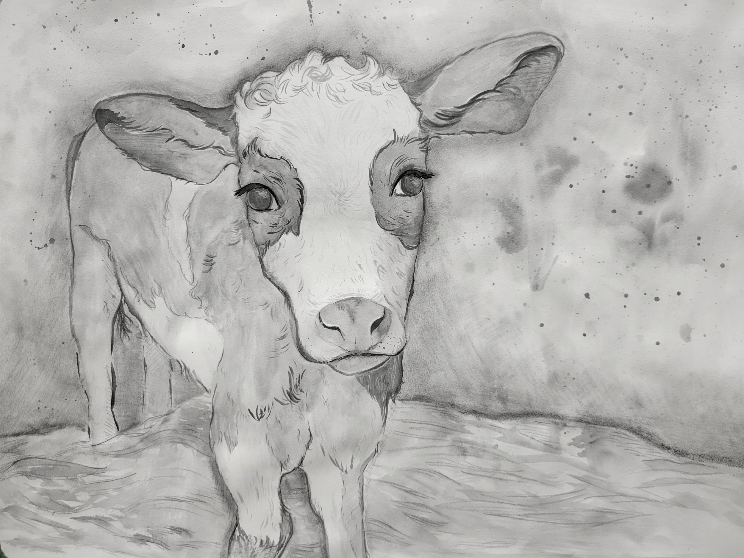 2022, Youngin, Liquid graphite and pastel, 18x24in
