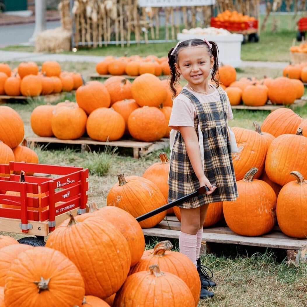 Have you gotten your pumpkin for Halloween yet?