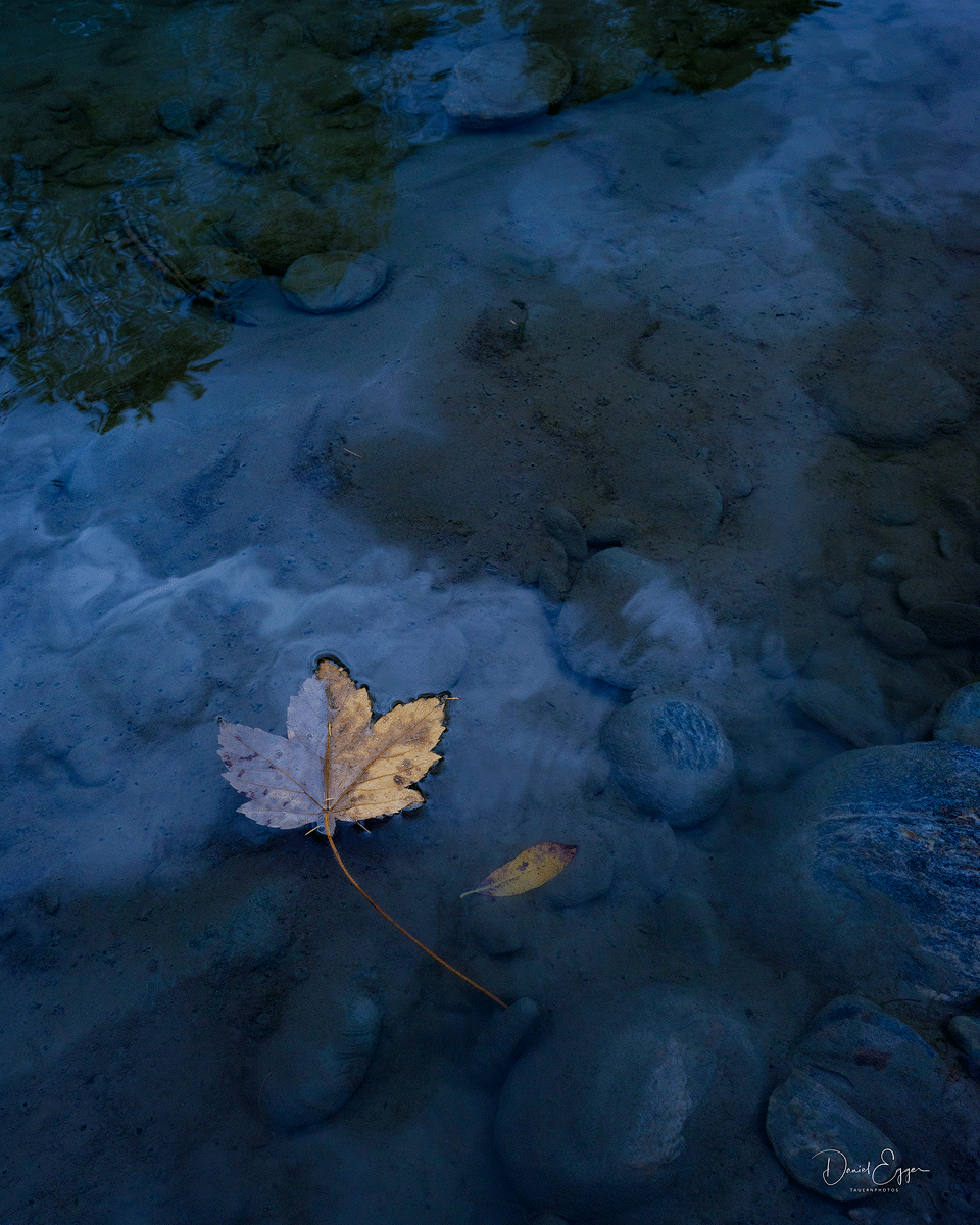 Es driftet in die  Nacht