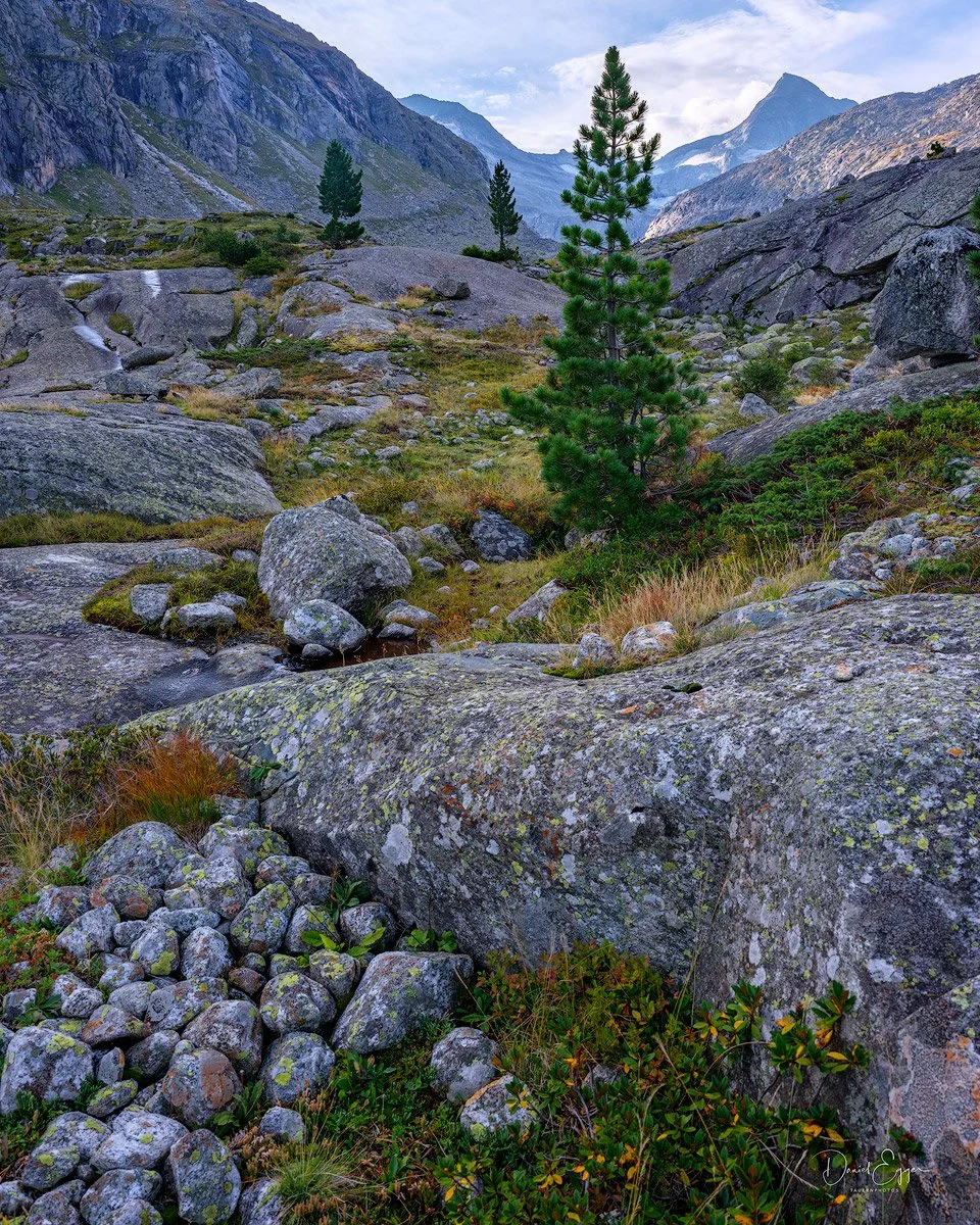Wo einst Gletscher war