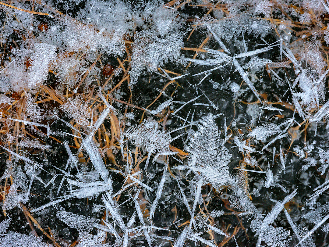 Herbst & Winter verschmelzen