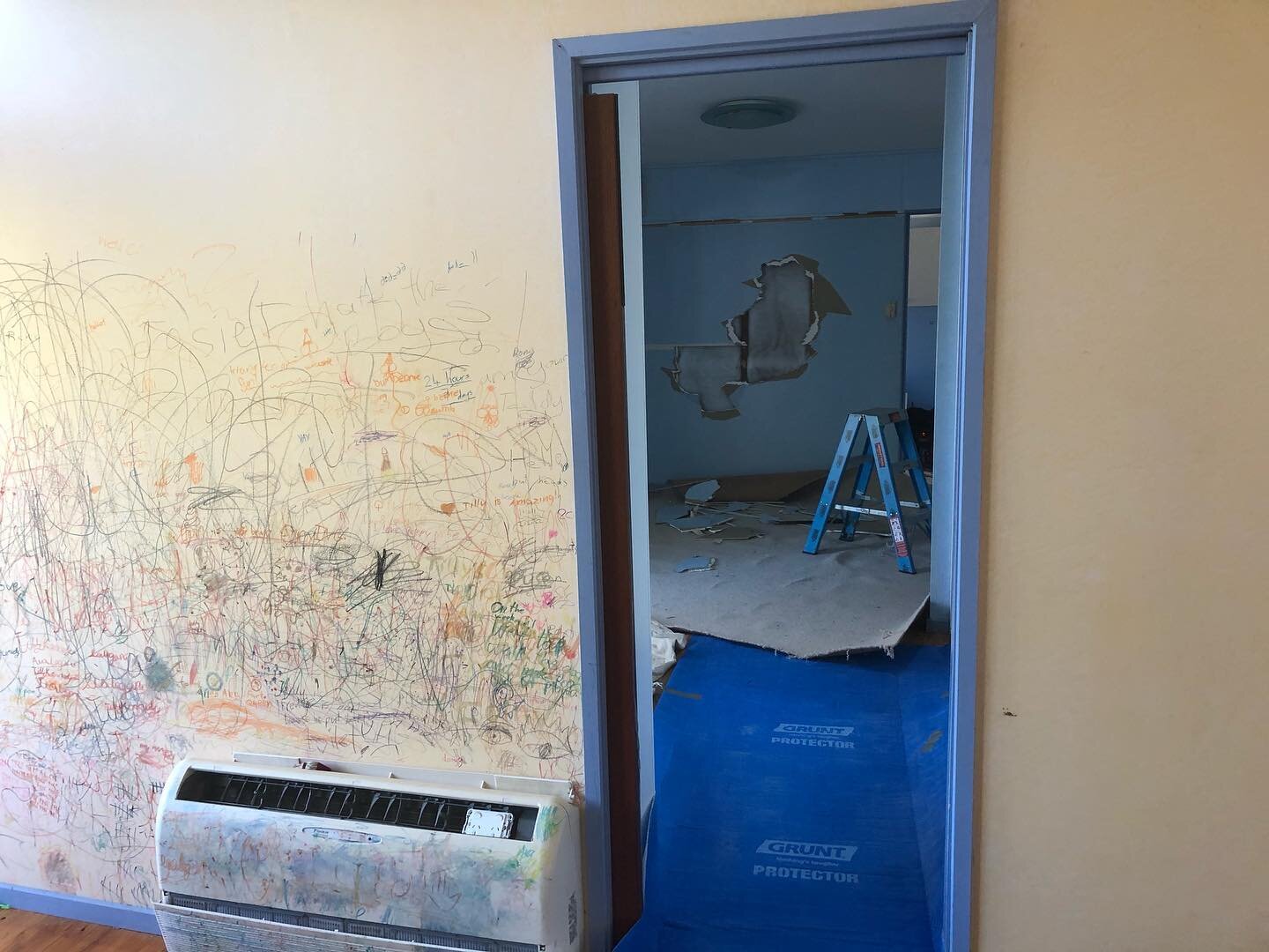 The story shots of our Manly Vale project at the end of 2019. On this job we took the kitchen from the dark south side of the house and moved it to the sunny north side. We added in a few new windows, knocked out a few walls and freshened it up with