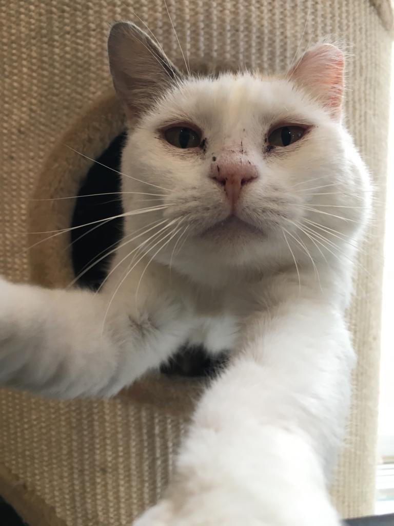 WhatsApp Image 2023-05-25 at 7.08.29 PM.jpeg