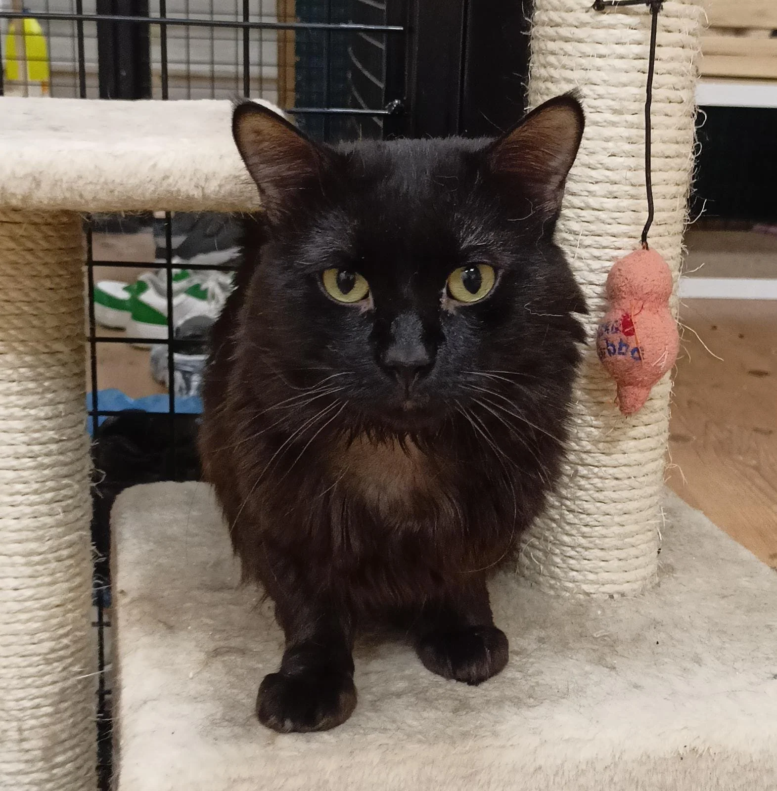 WhatsApp Image 2023-05-25 at 5.57.04 PM (4).jpeg