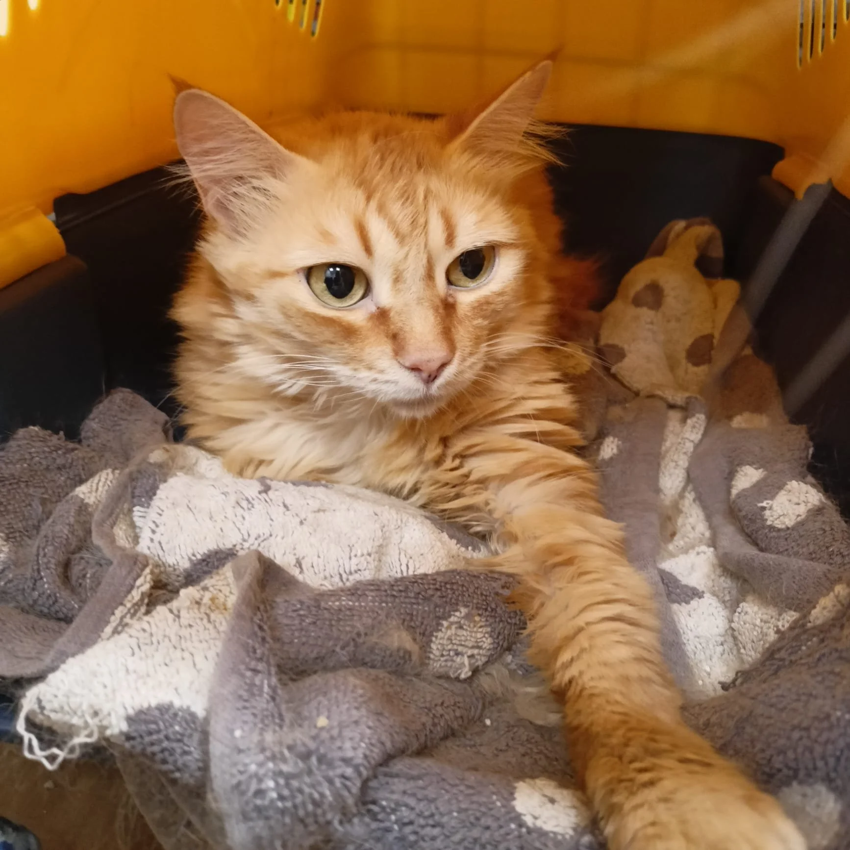 WhatsApp Image 2023-05-25 at 5.57.03 PM.jpeg