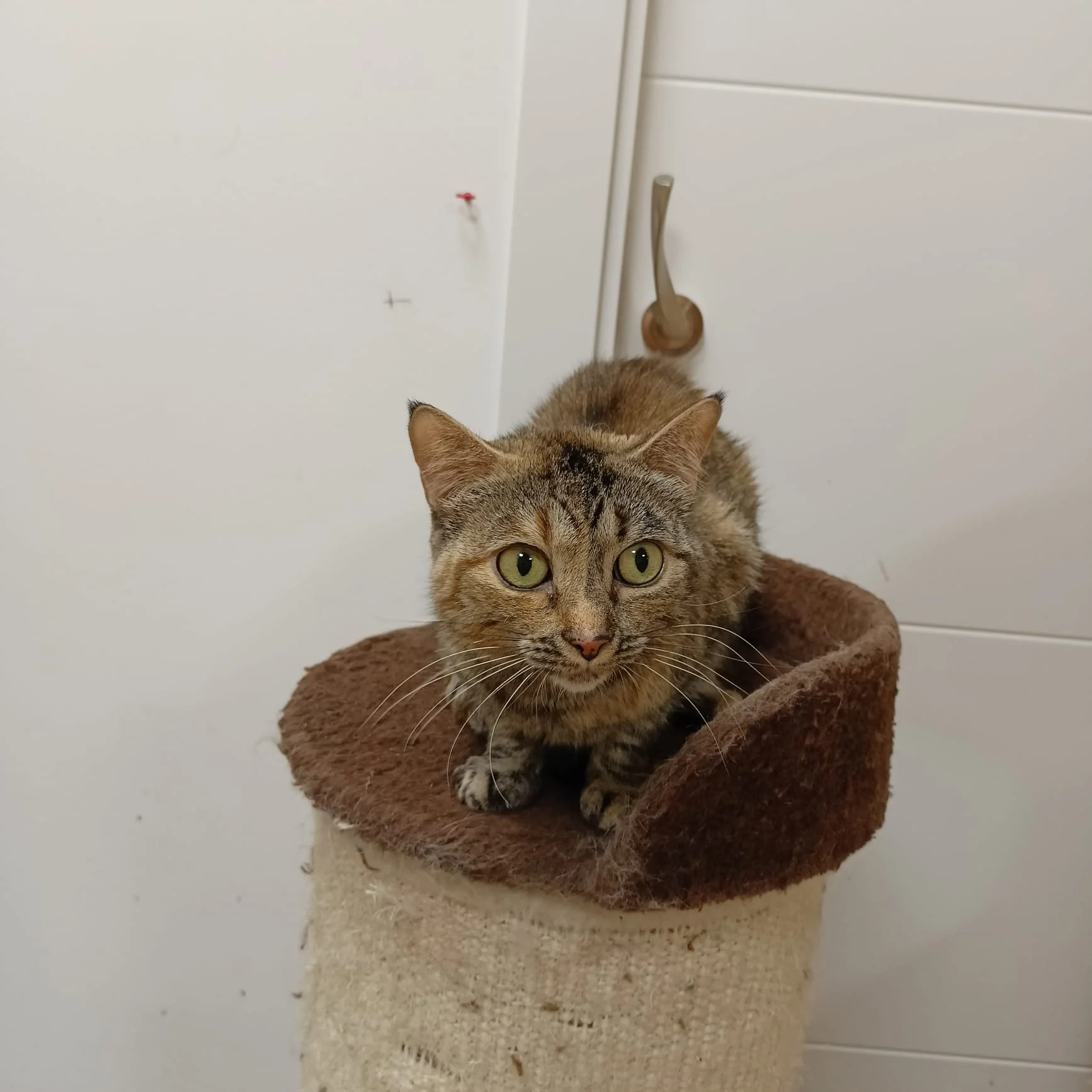 WhatsApp Image 2023-05-28 at 6.20.48 PM (3).jpeg