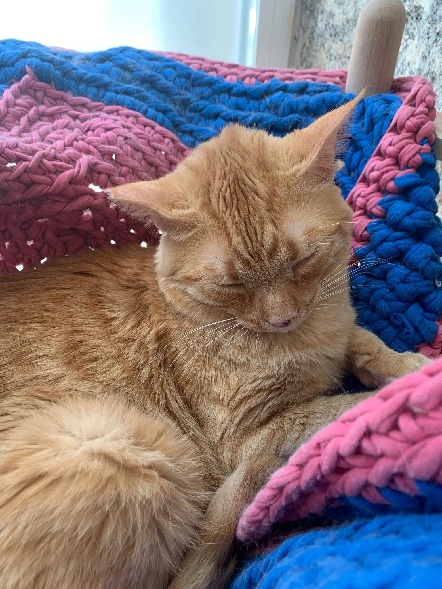 WhatsApp Image 2023-07-11 at 1.01.59 PM (1).jpeg