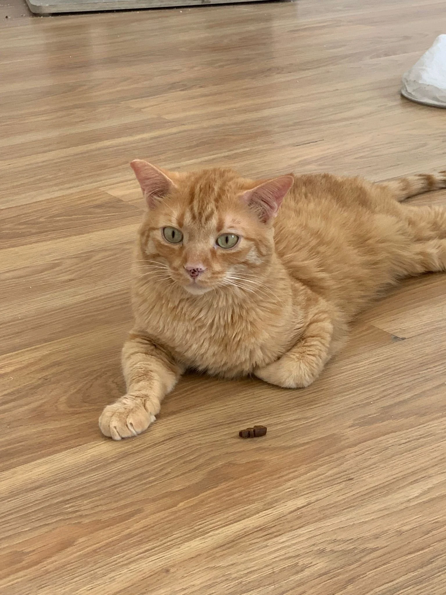 WhatsApp Image 2023-07-30 at 4.05.25 PM.jpeg