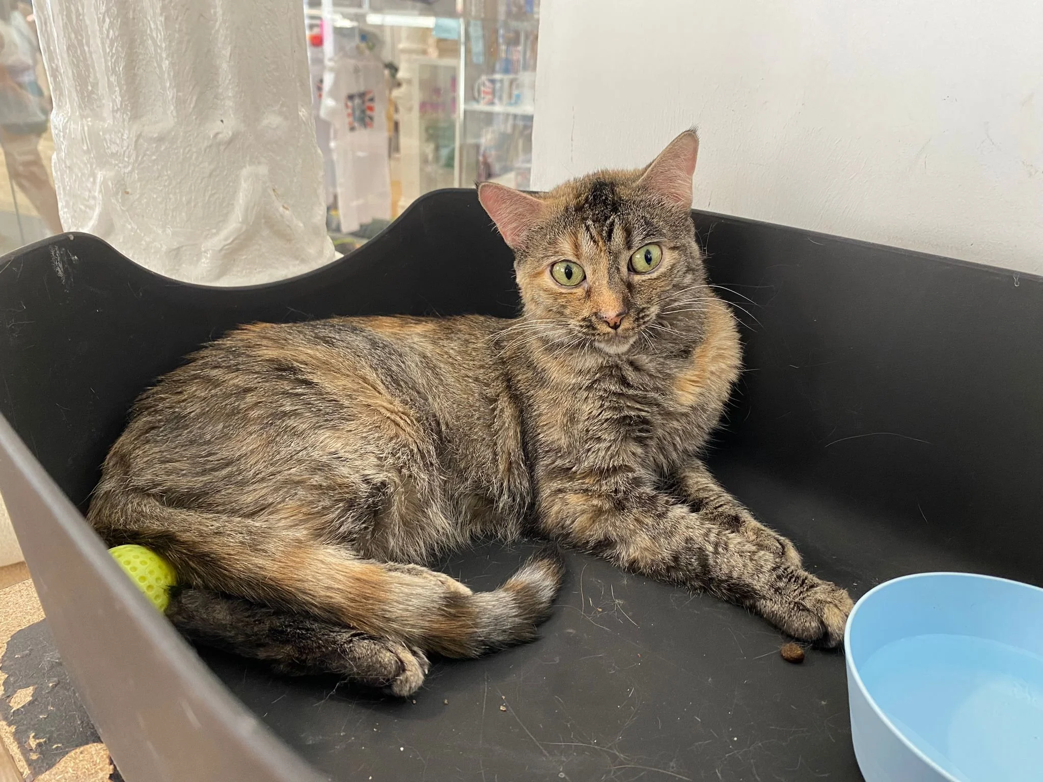 WhatsApp Image 2023-08-09 at 6.30.52 PM.jpeg