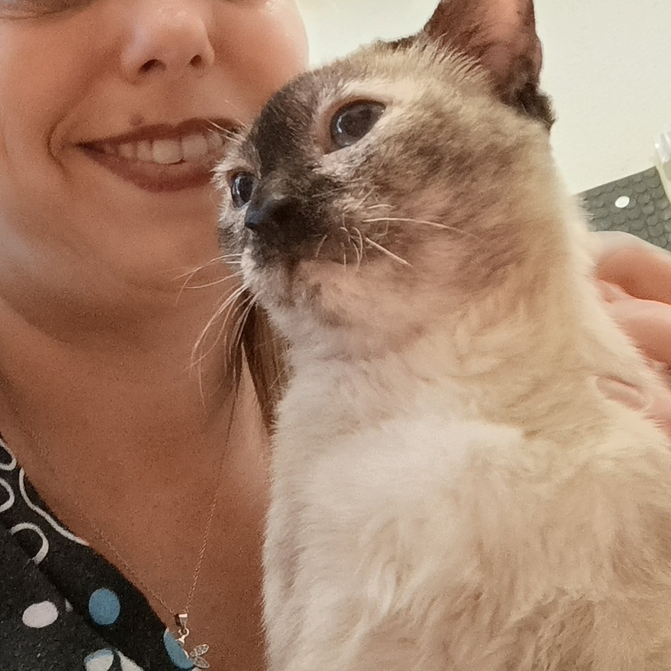 moki+%285%29.jpg