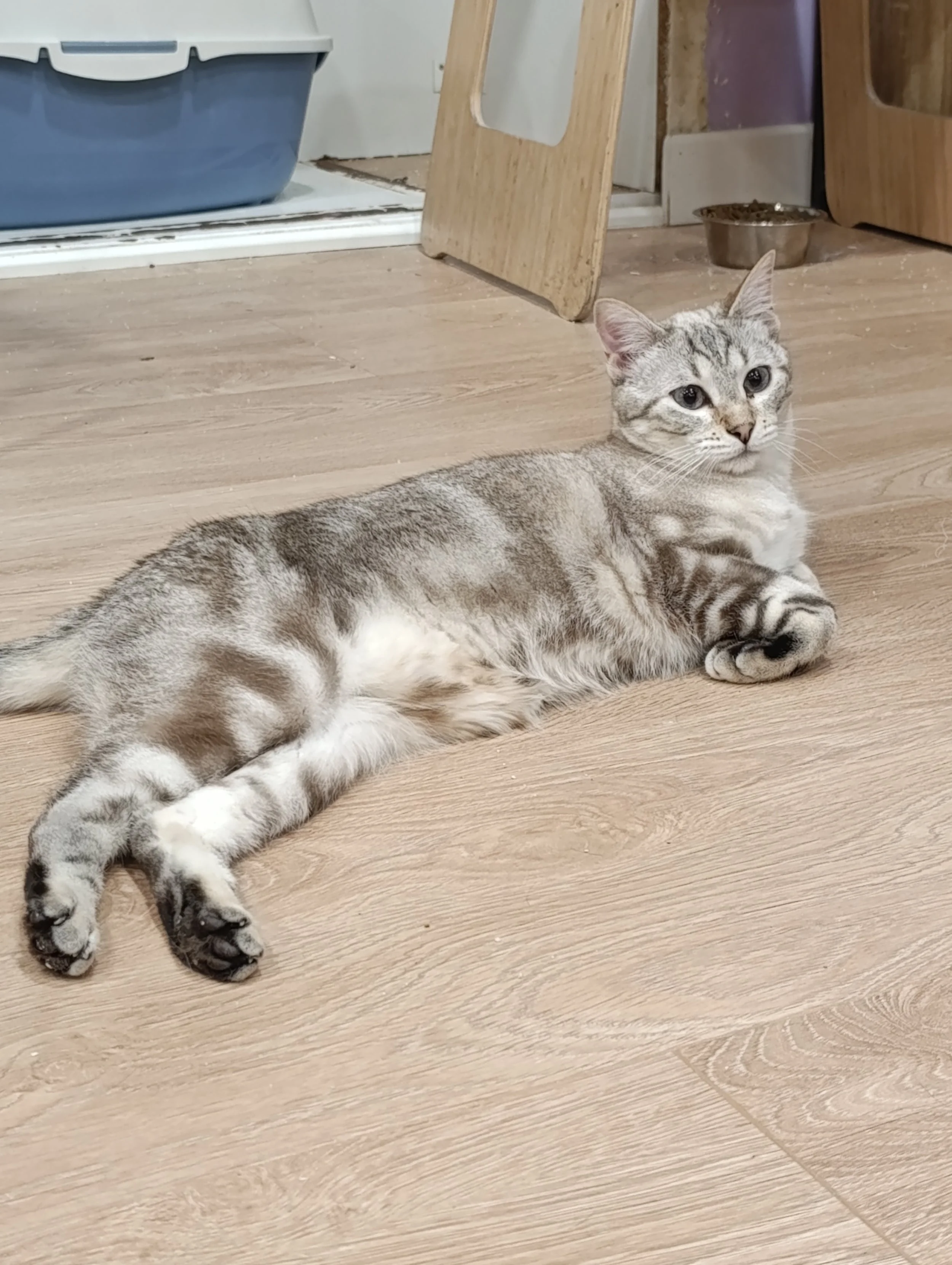 Cloud portada (2).jpg