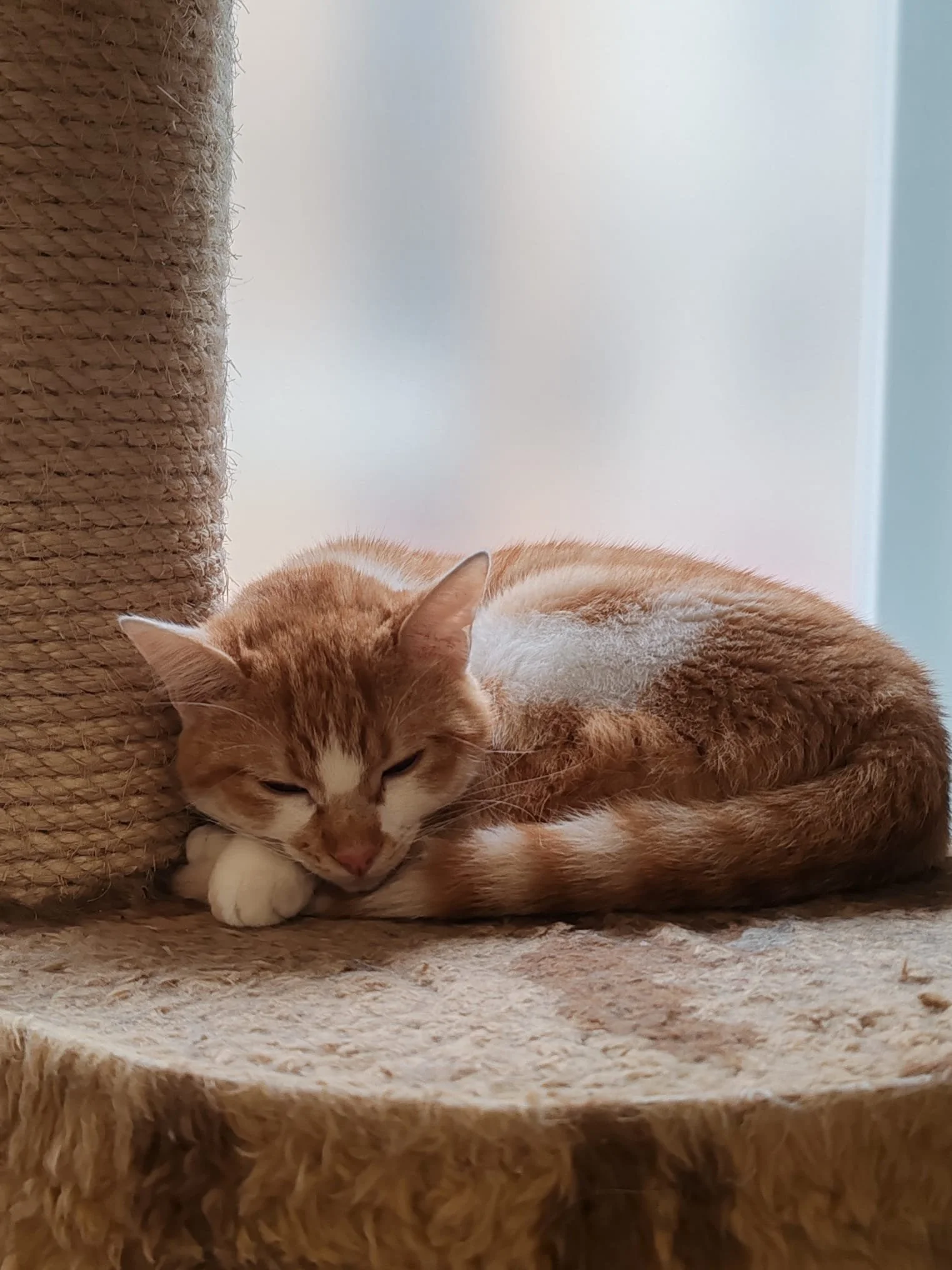 WhatsApp Image 2026-03-11 at 17.25.37.jpeg