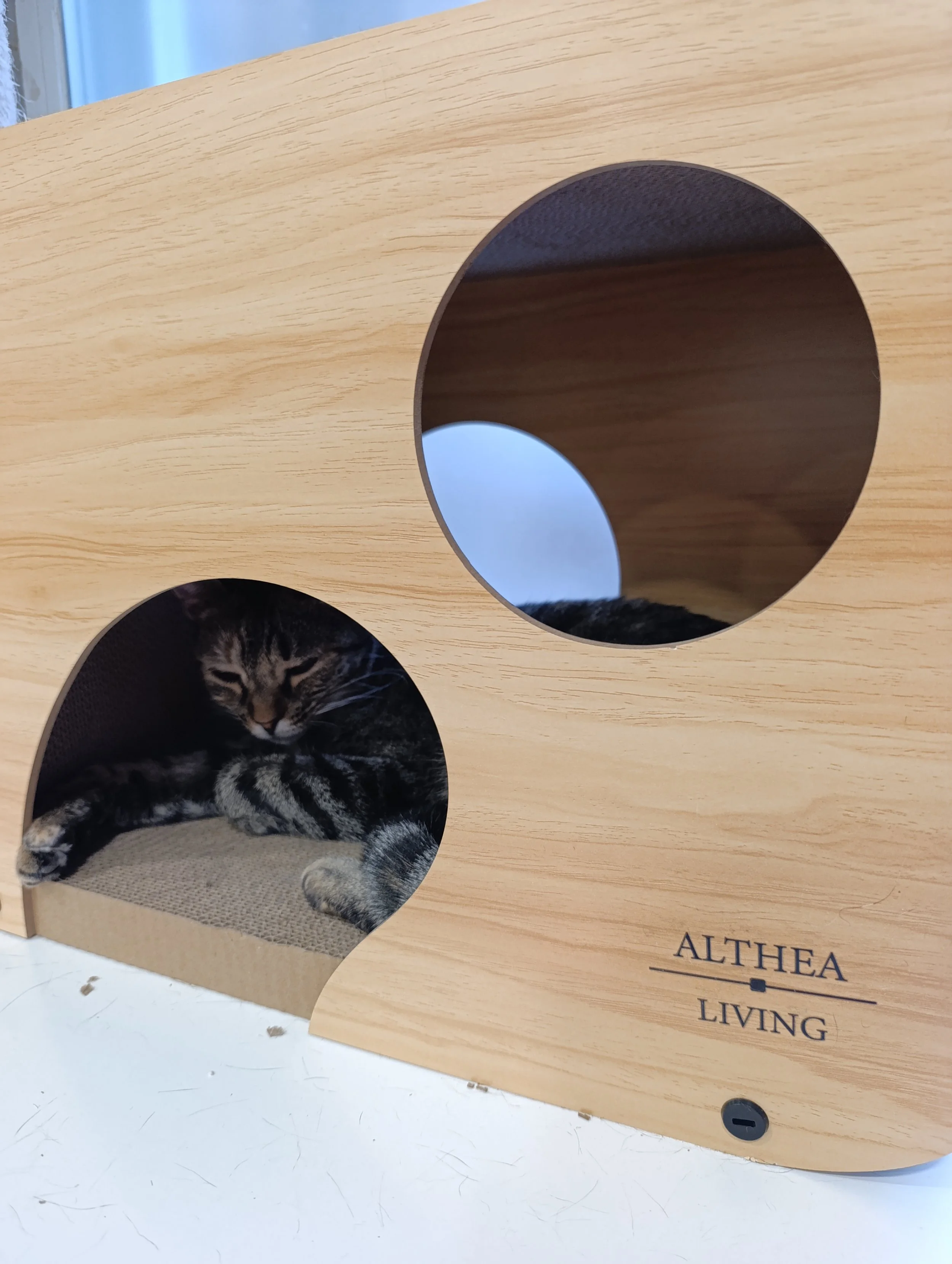 Jacquie rascador.jpg