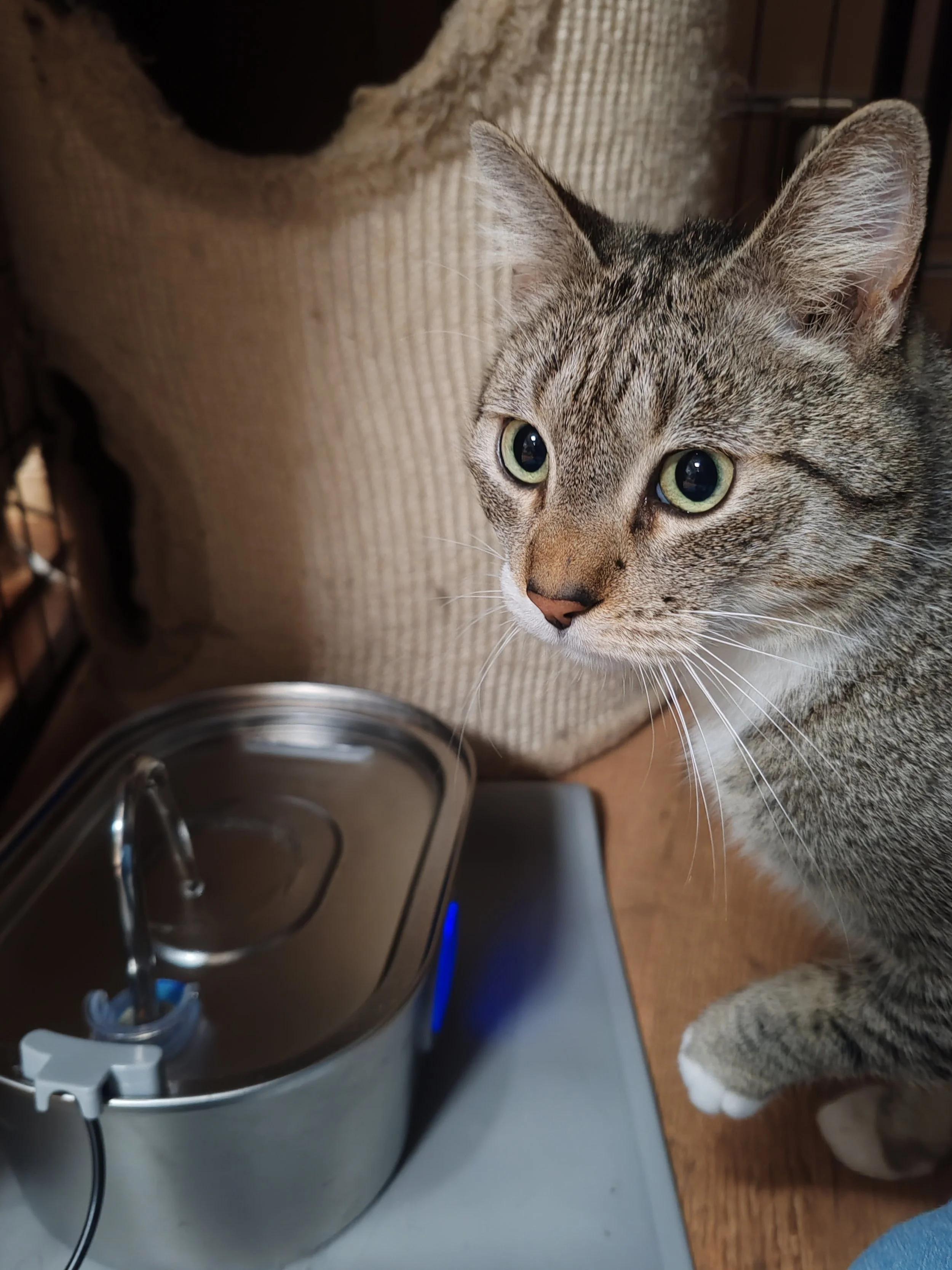 IMG_20260419_143613 (1).jpg