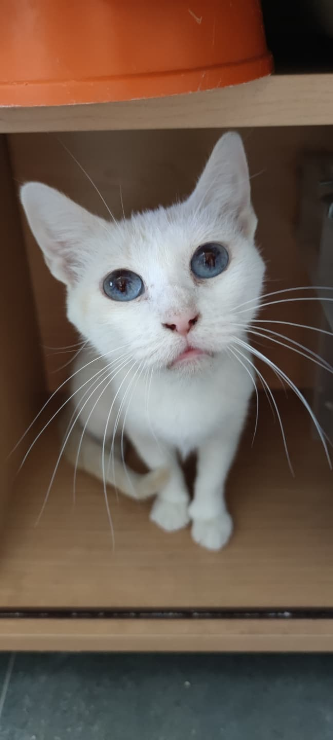 Ellie.
