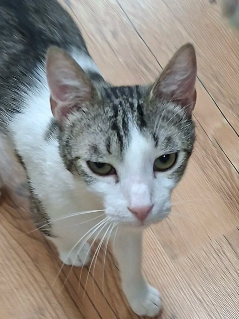 Sam.