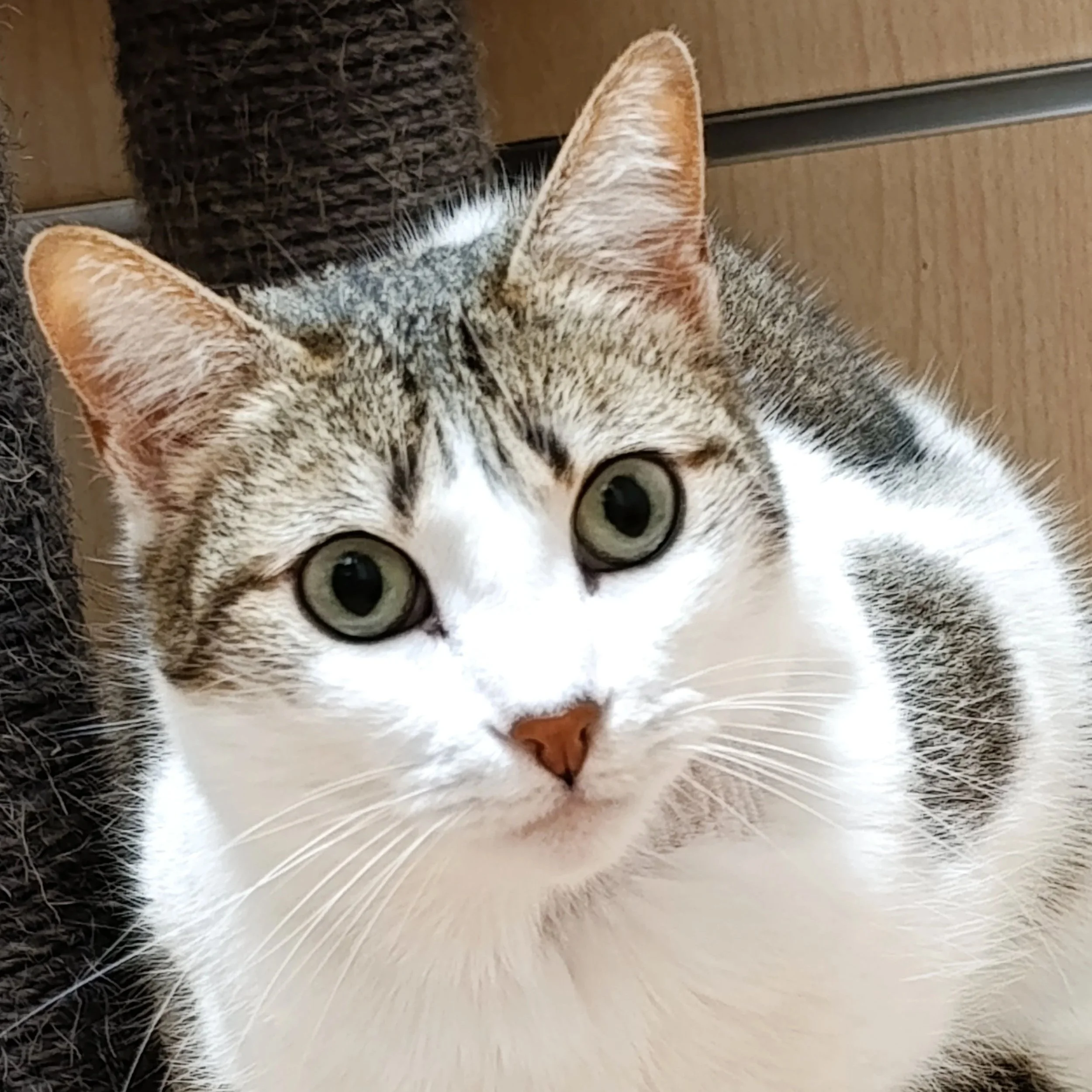 Sally+%285%29.jpg