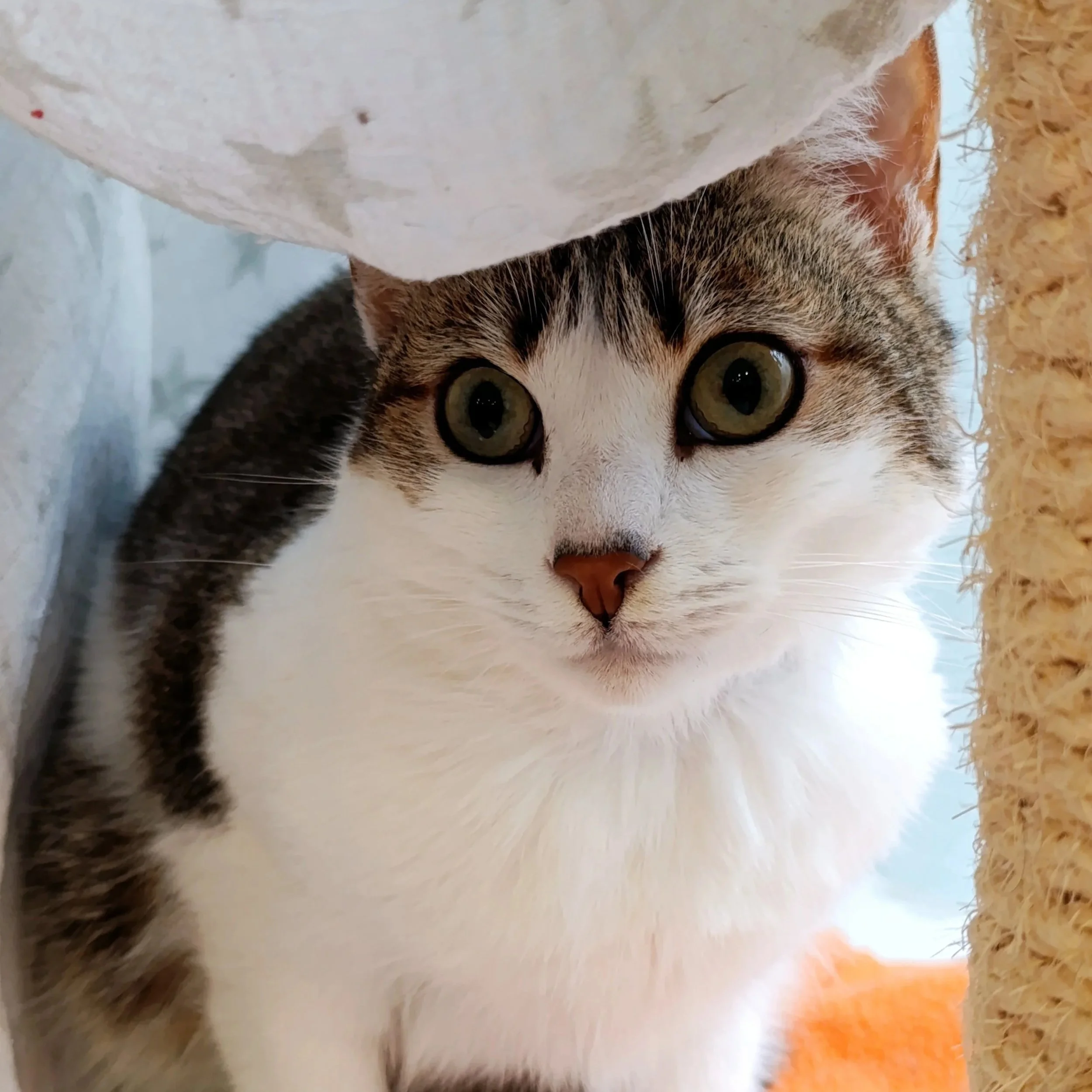 Sally+%282%29.jpg