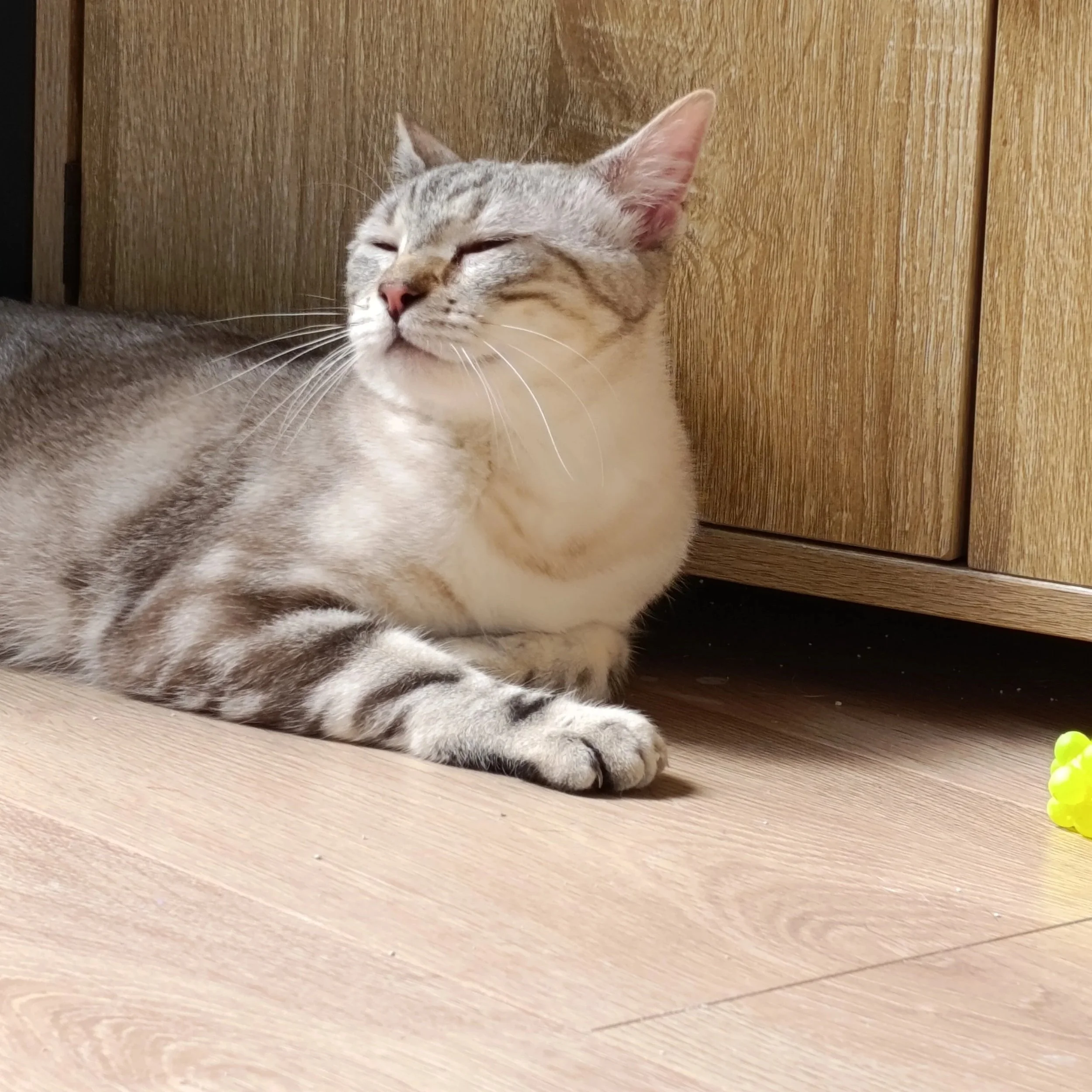 Cloud+meditando.jpg