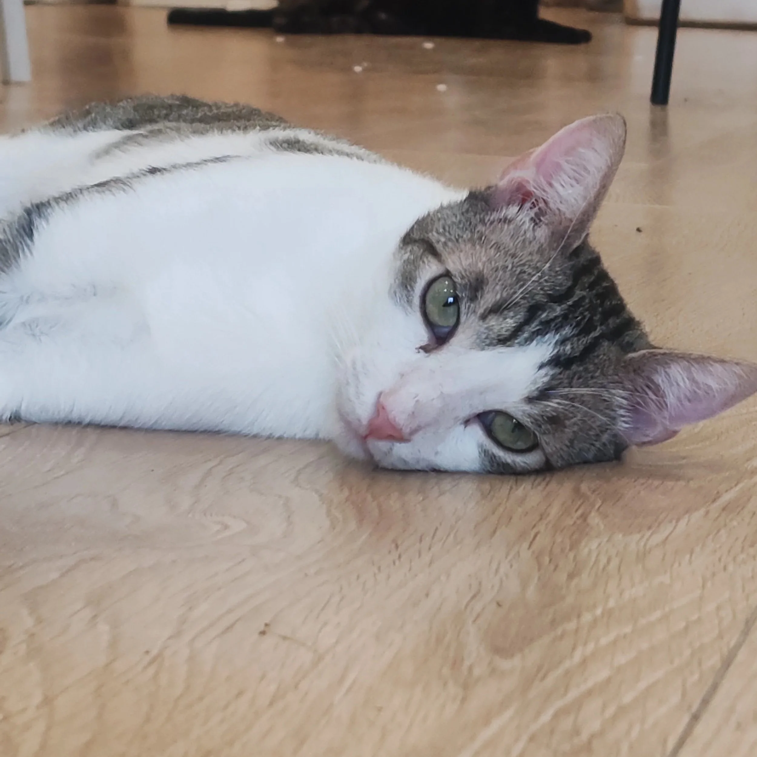 Sam.