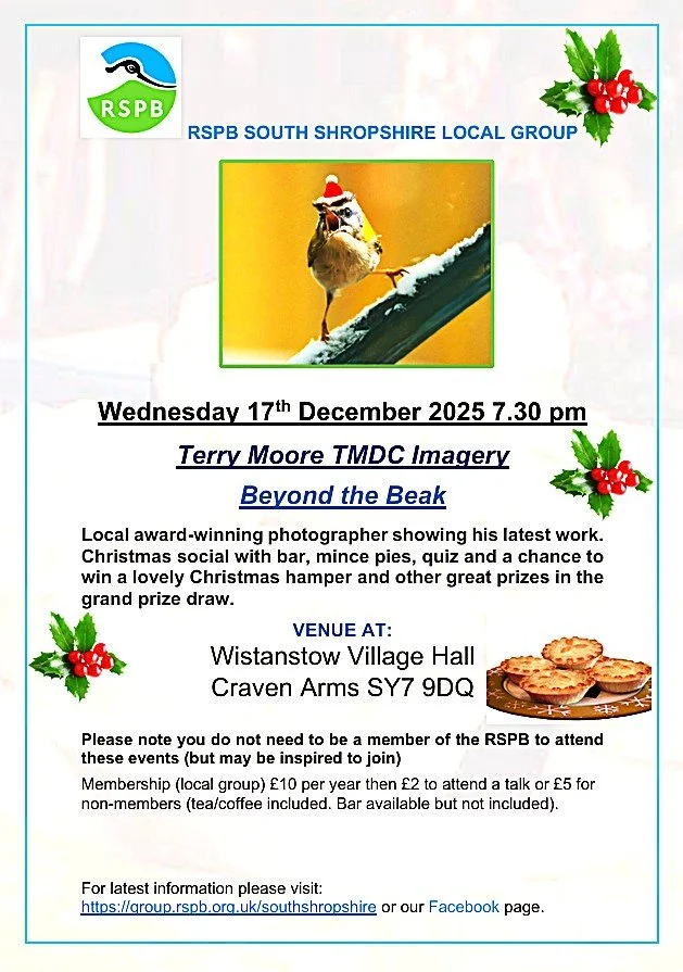 Festive fun Xmas 2025