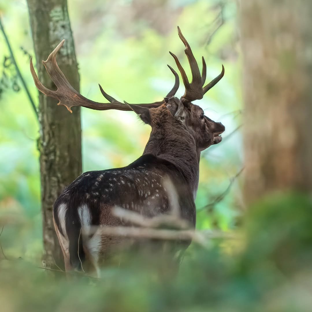 When he walks right past you!