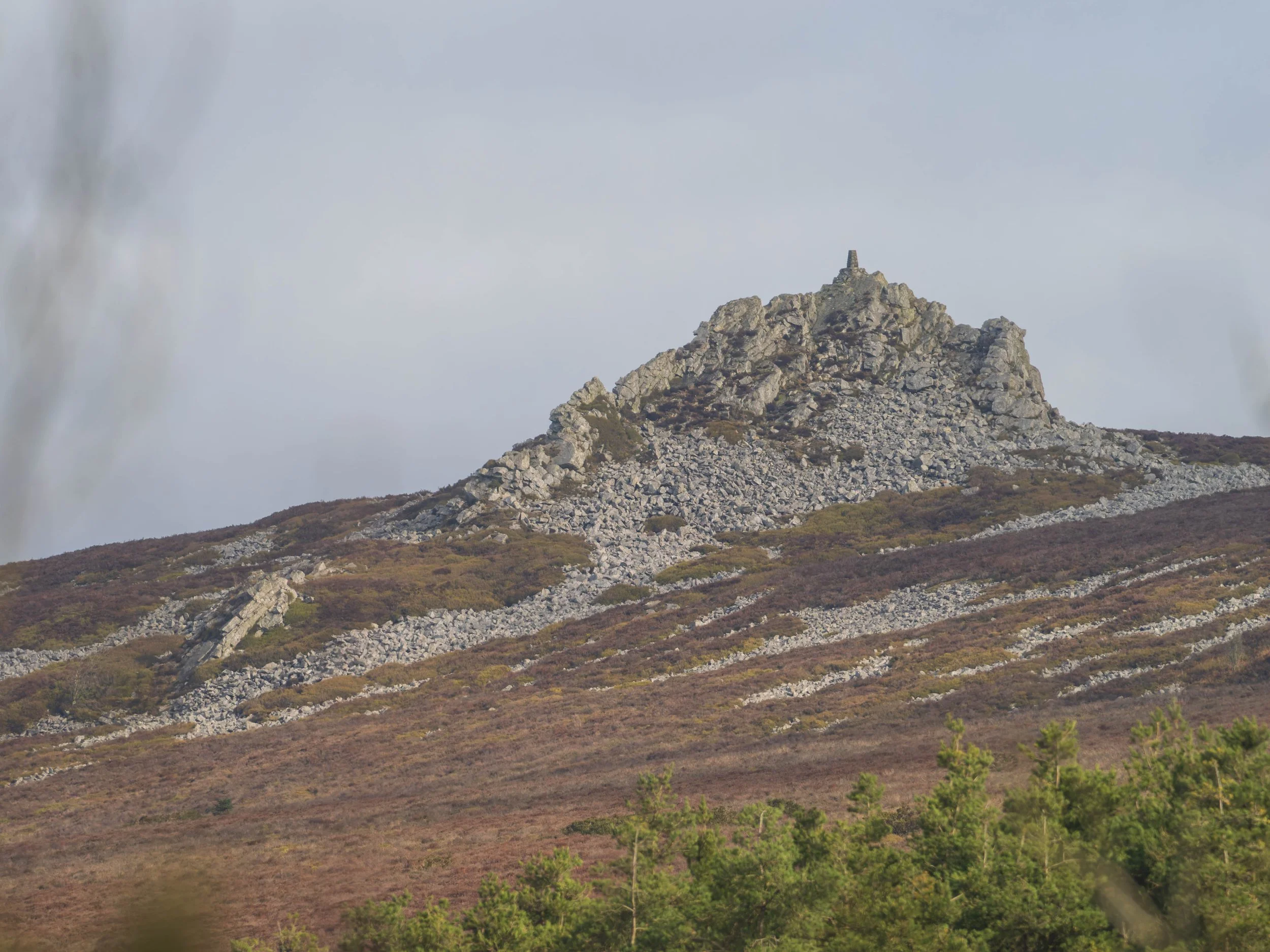 Behind the Lens: Why I’m Championing the "Guardians of the Ridge" Project