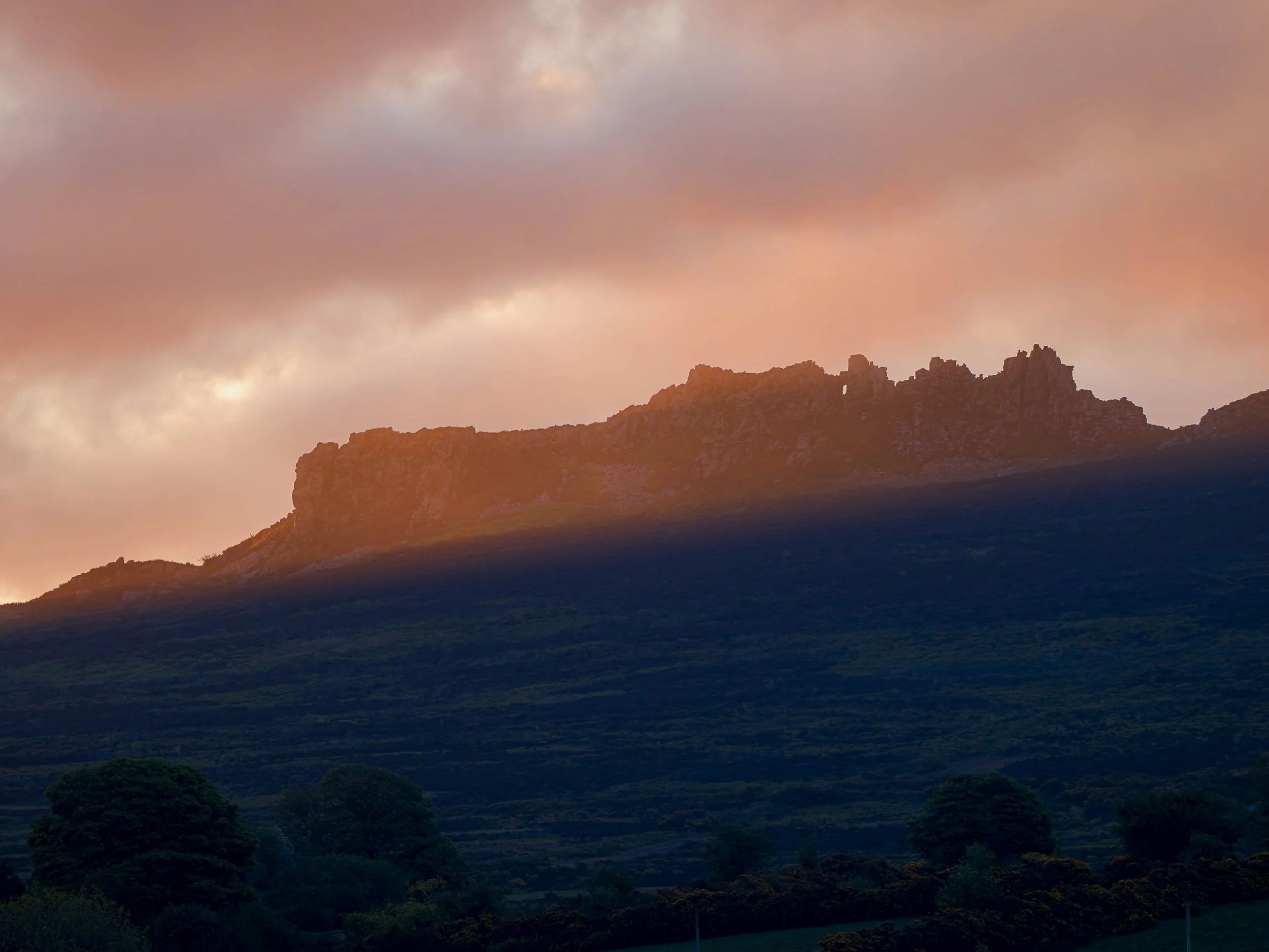 Capturing the Wild Heart of Stiperstones NNR: A New Chapter Begins! 📸